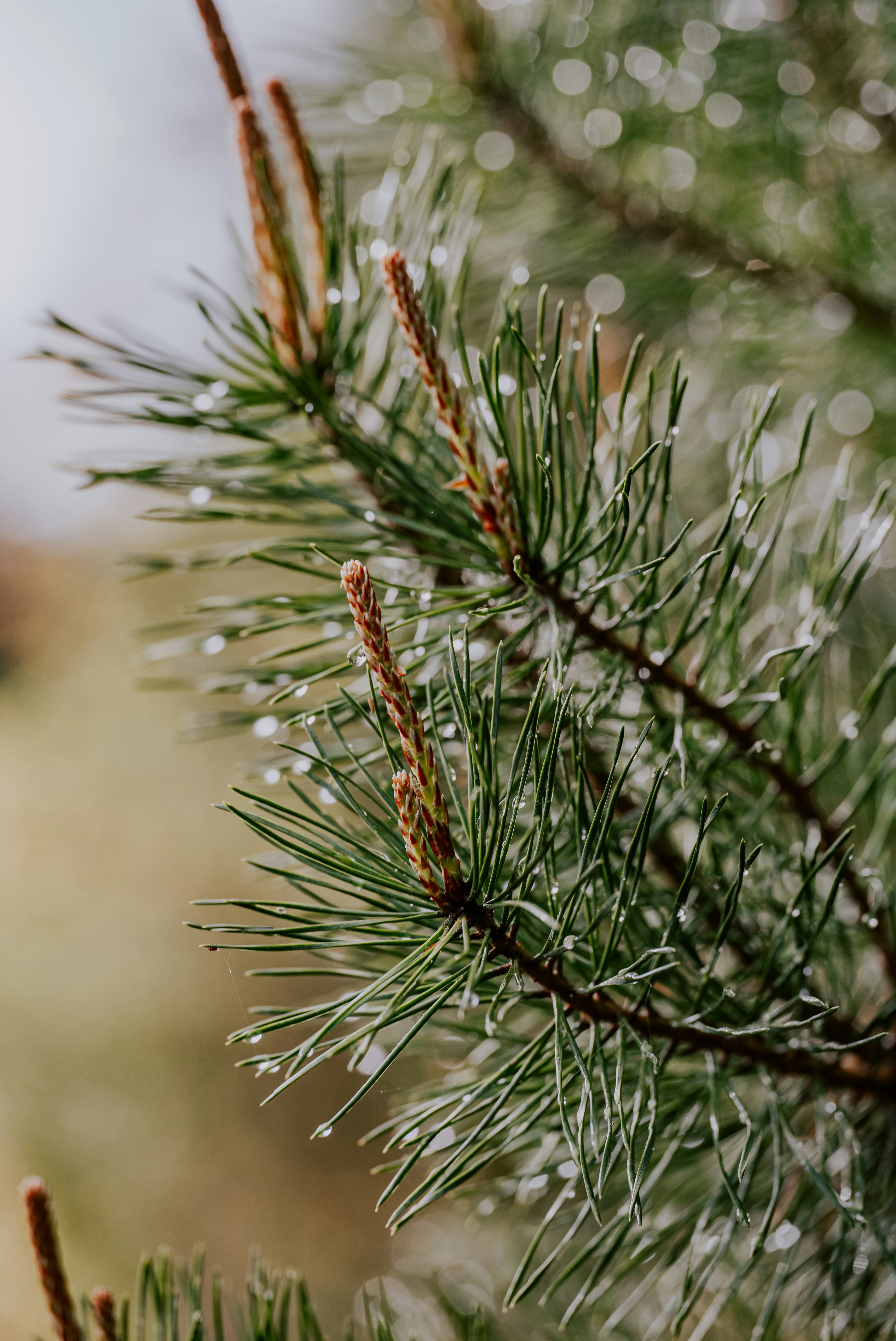 Photo by kekse_und_ich