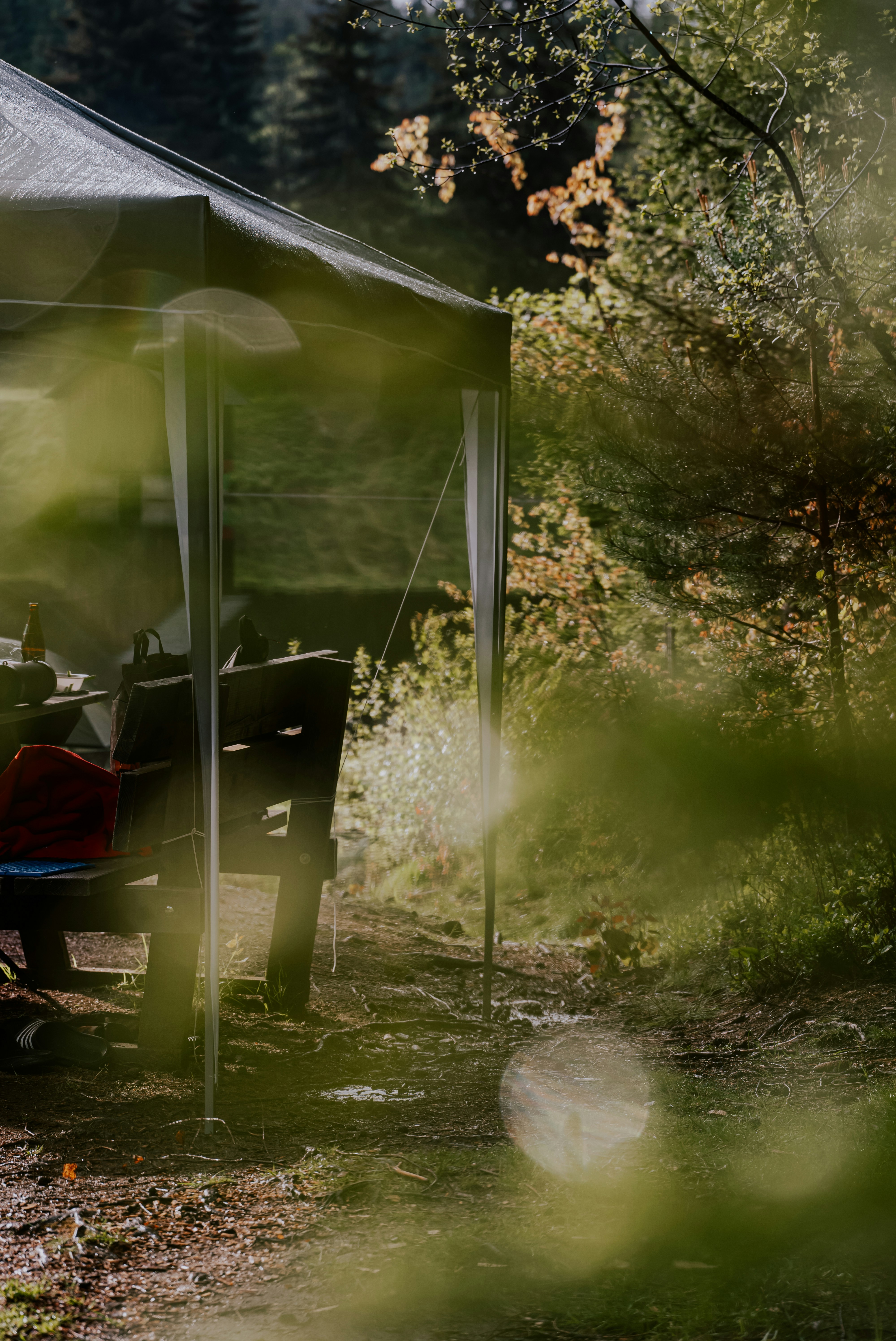 Sturdy Outdoor Canopy