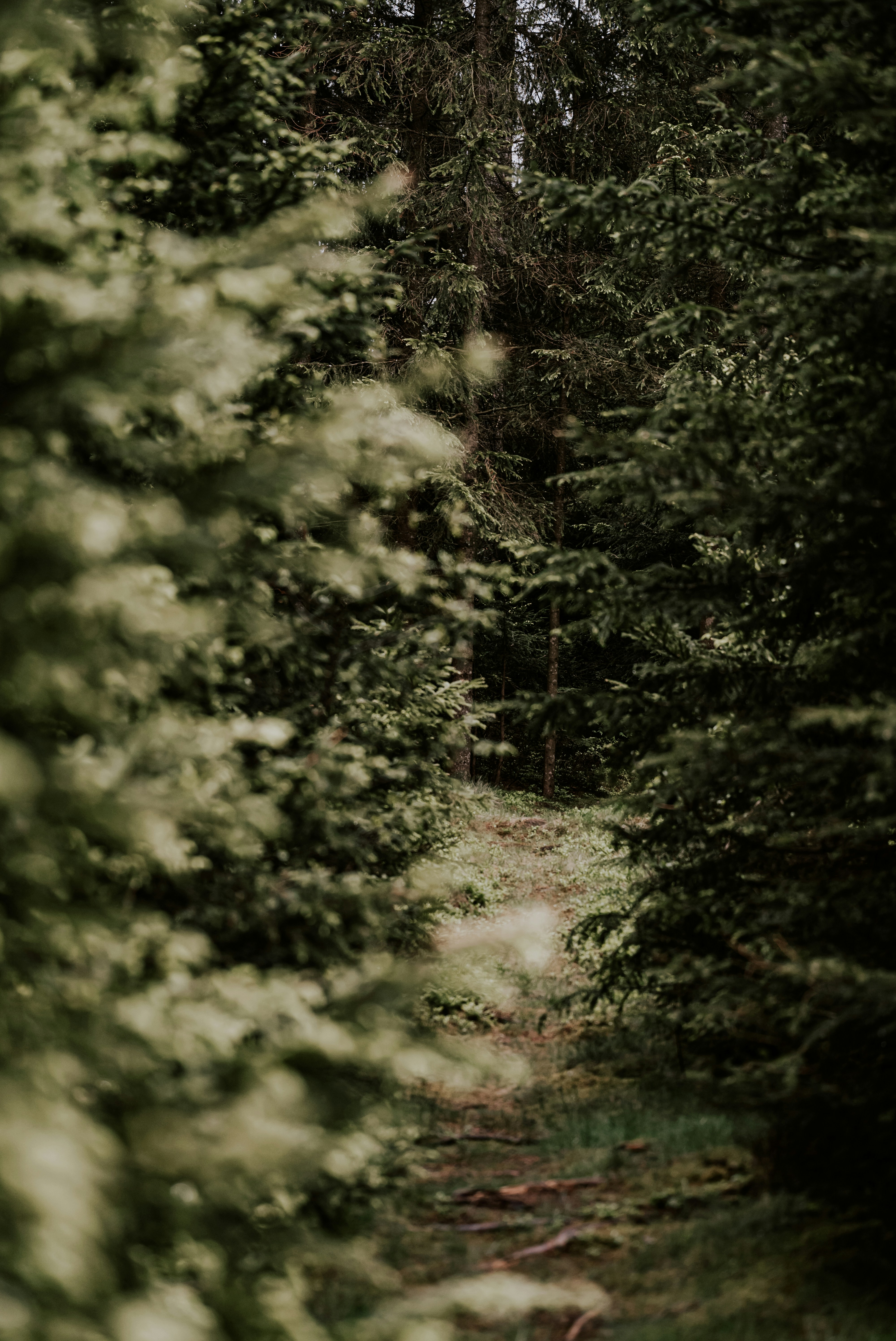 Photo by kekse_und_ich