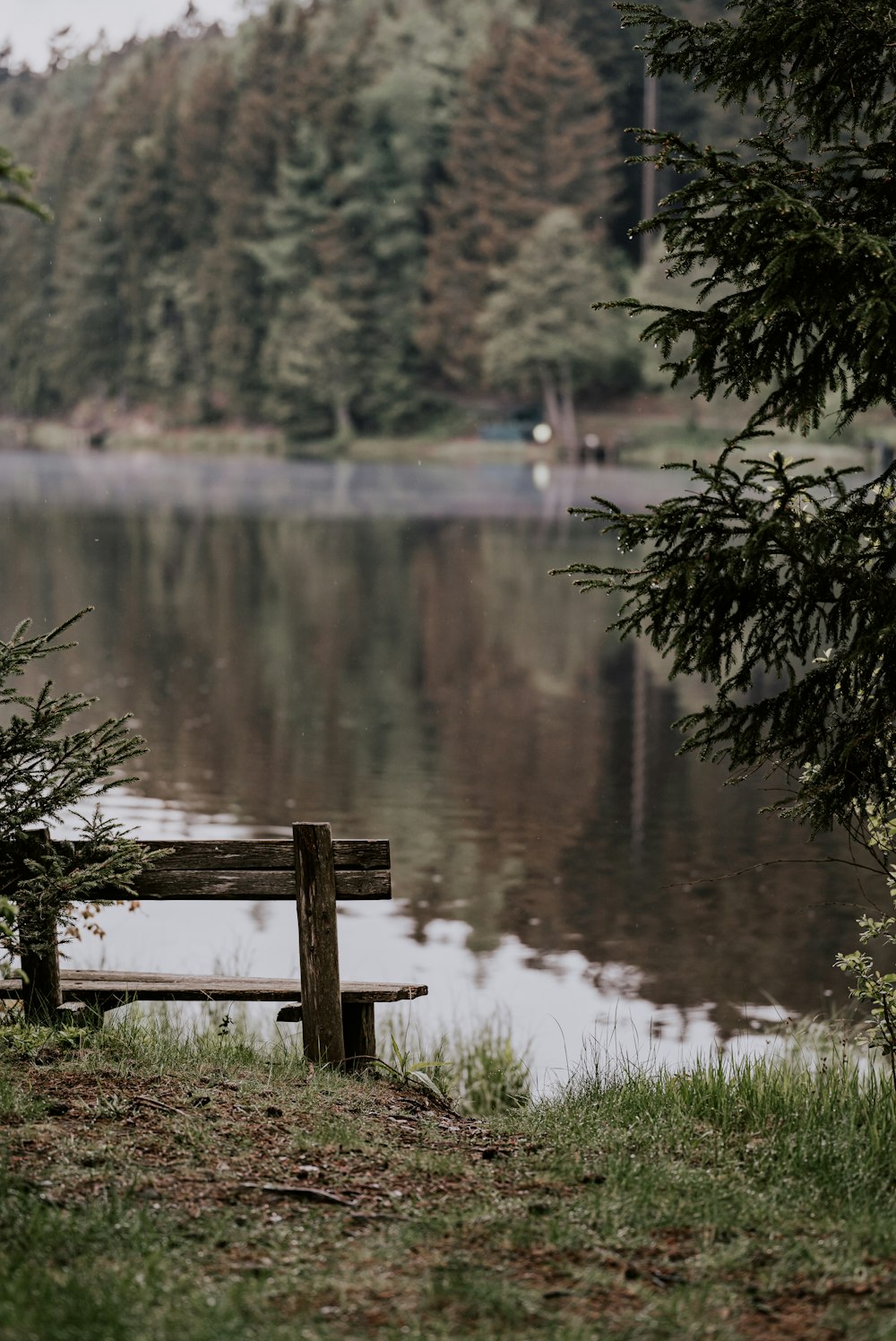 a bench sits by a lake