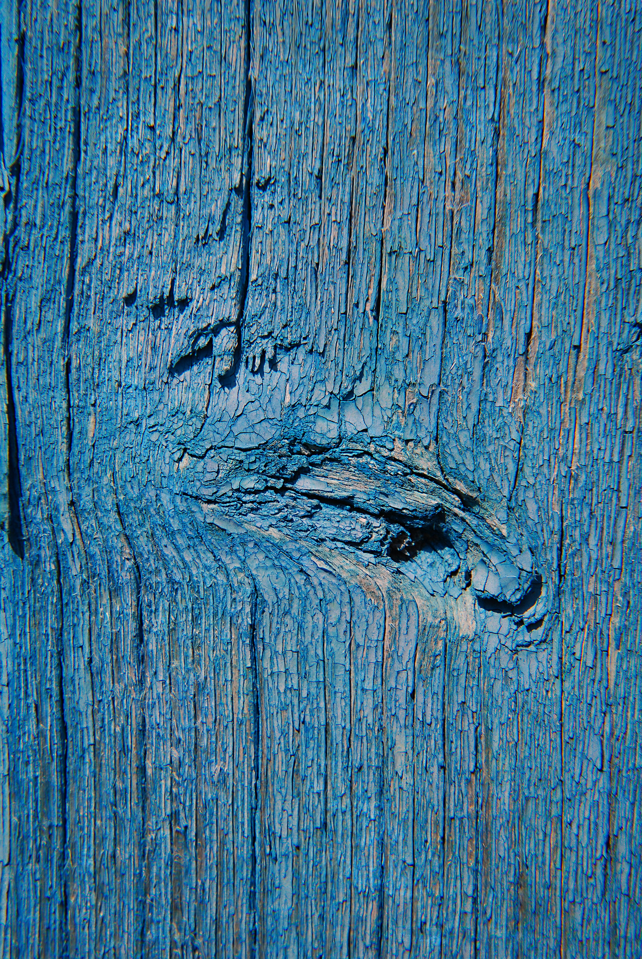 Photo by kovalskihelga