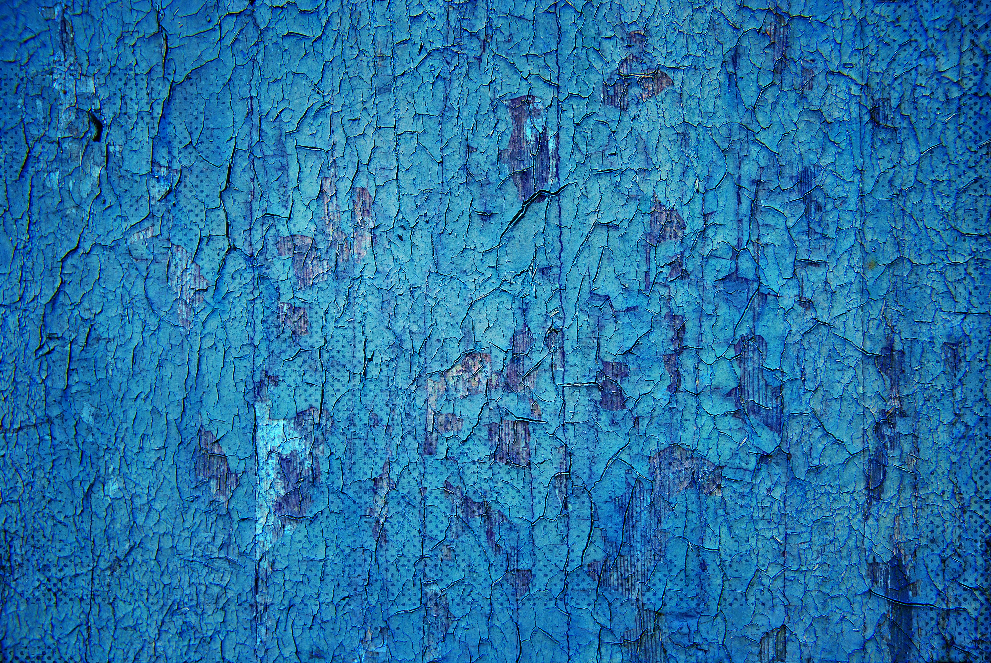 Photo by kovalskihelga