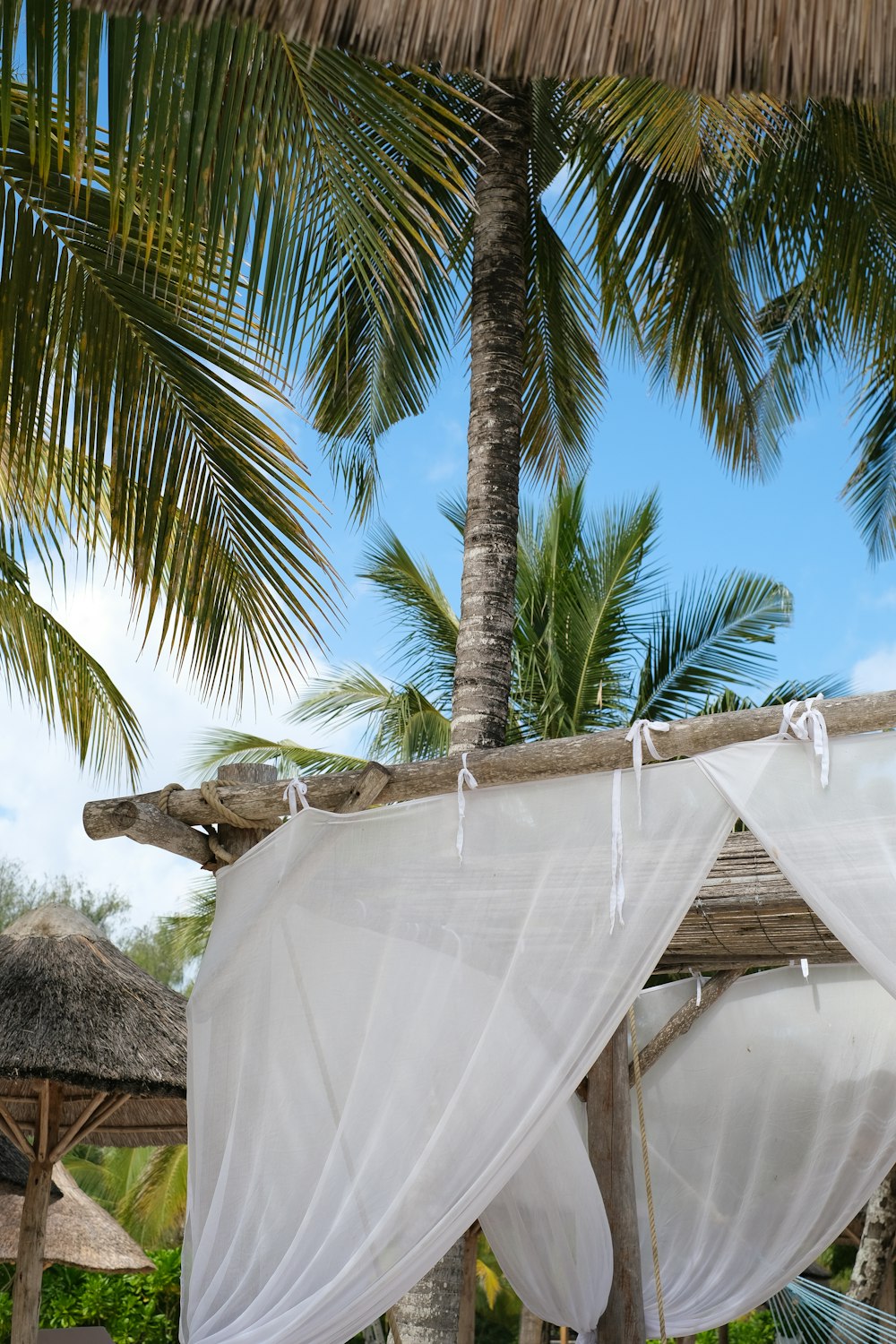 a hammock between palm trees