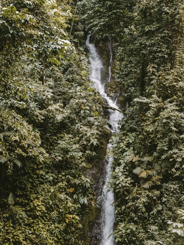 Arrive San Jose, transfer to Arenal
