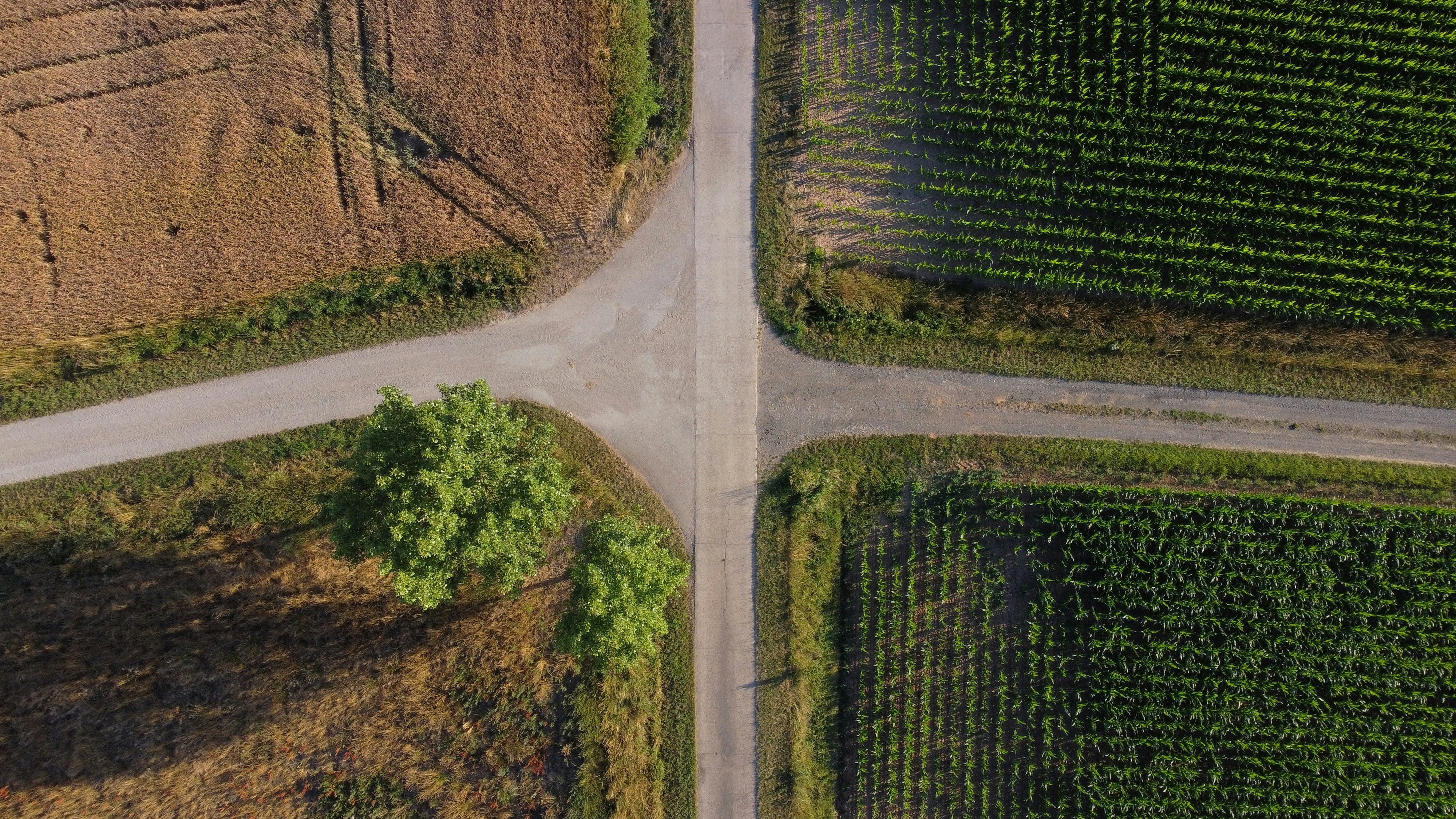 crossroads path