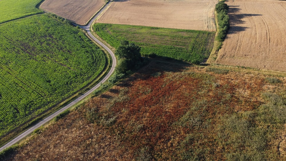 a road through a field