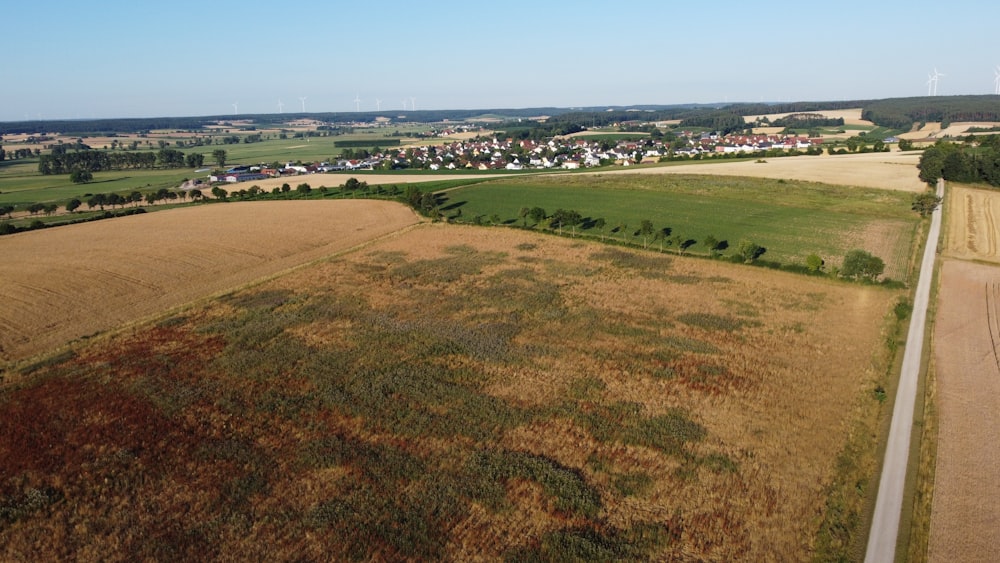 a field of brown grass