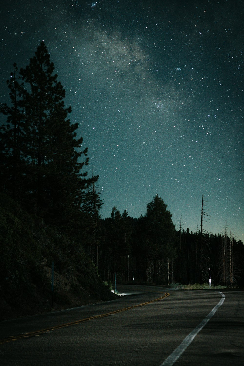 a road with trees and stars in the sky