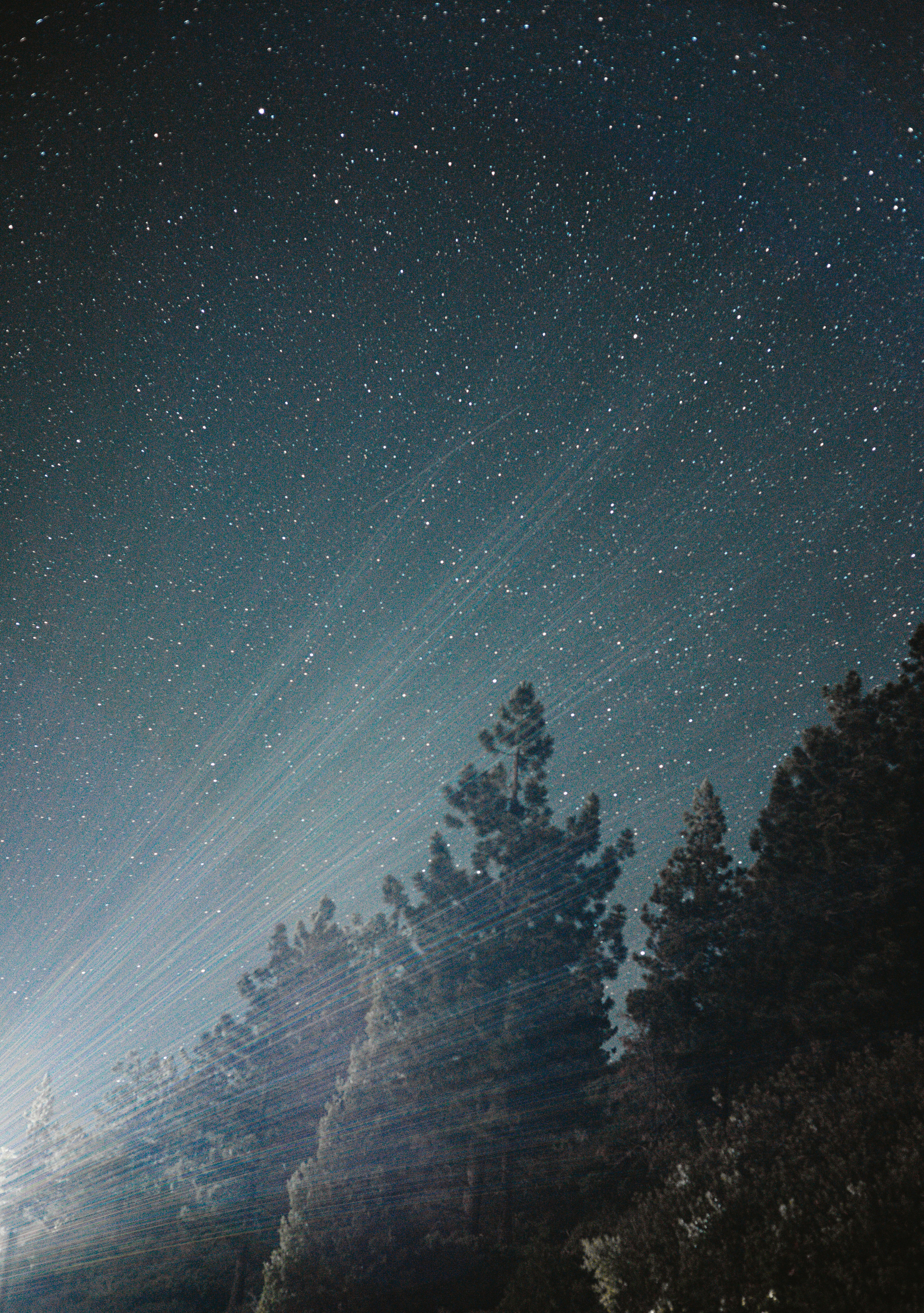 Photo by jeffersonsees