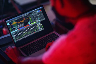 a person holding a laptop