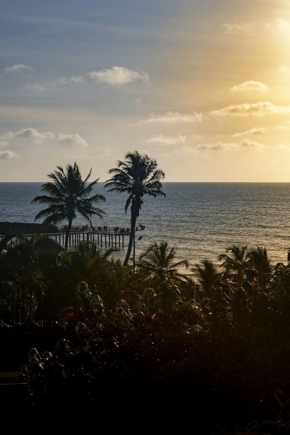 a beach with palm trees and a body of water in the background