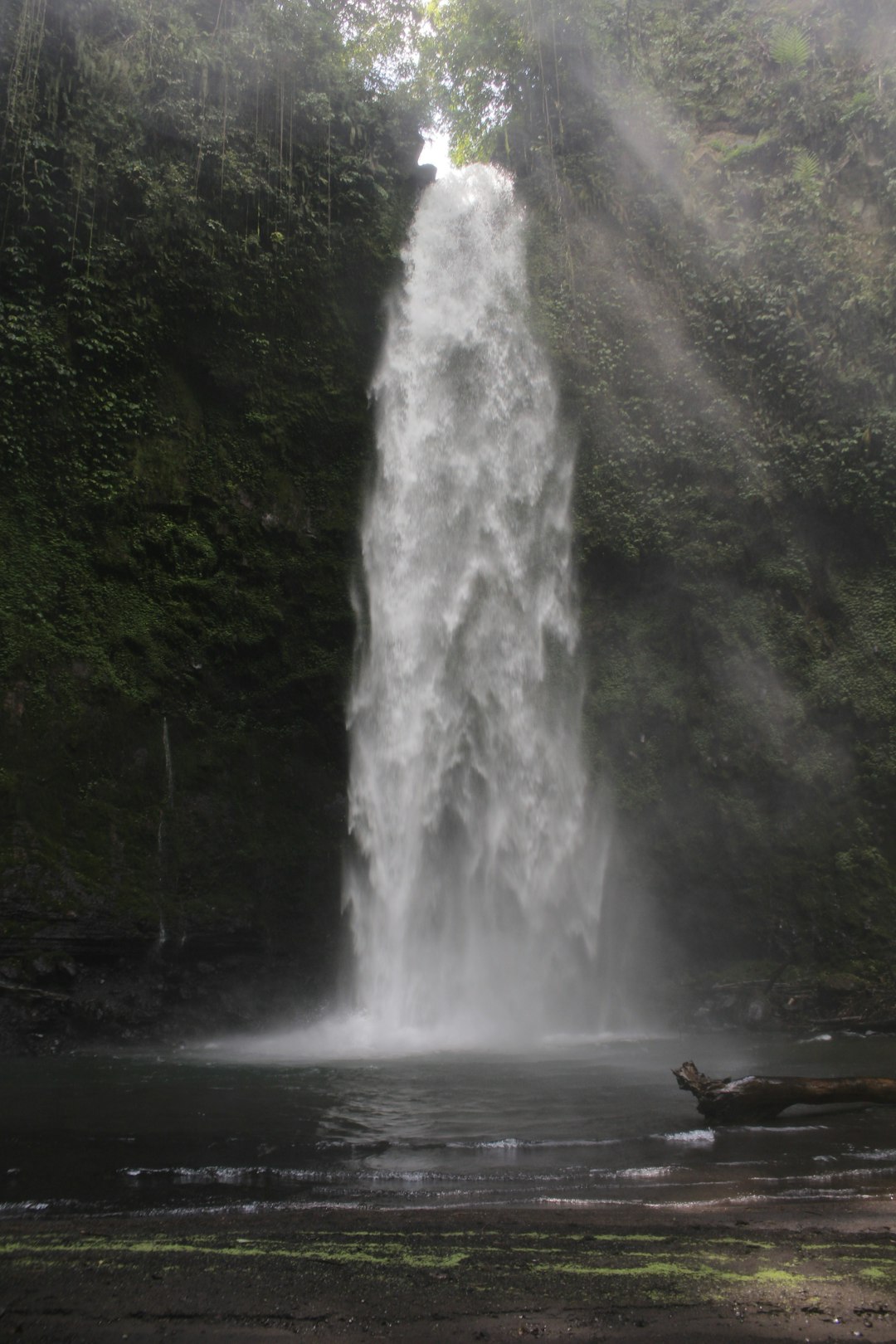 Waterfall photo spot Nungnung Waterfall Carpark Bali