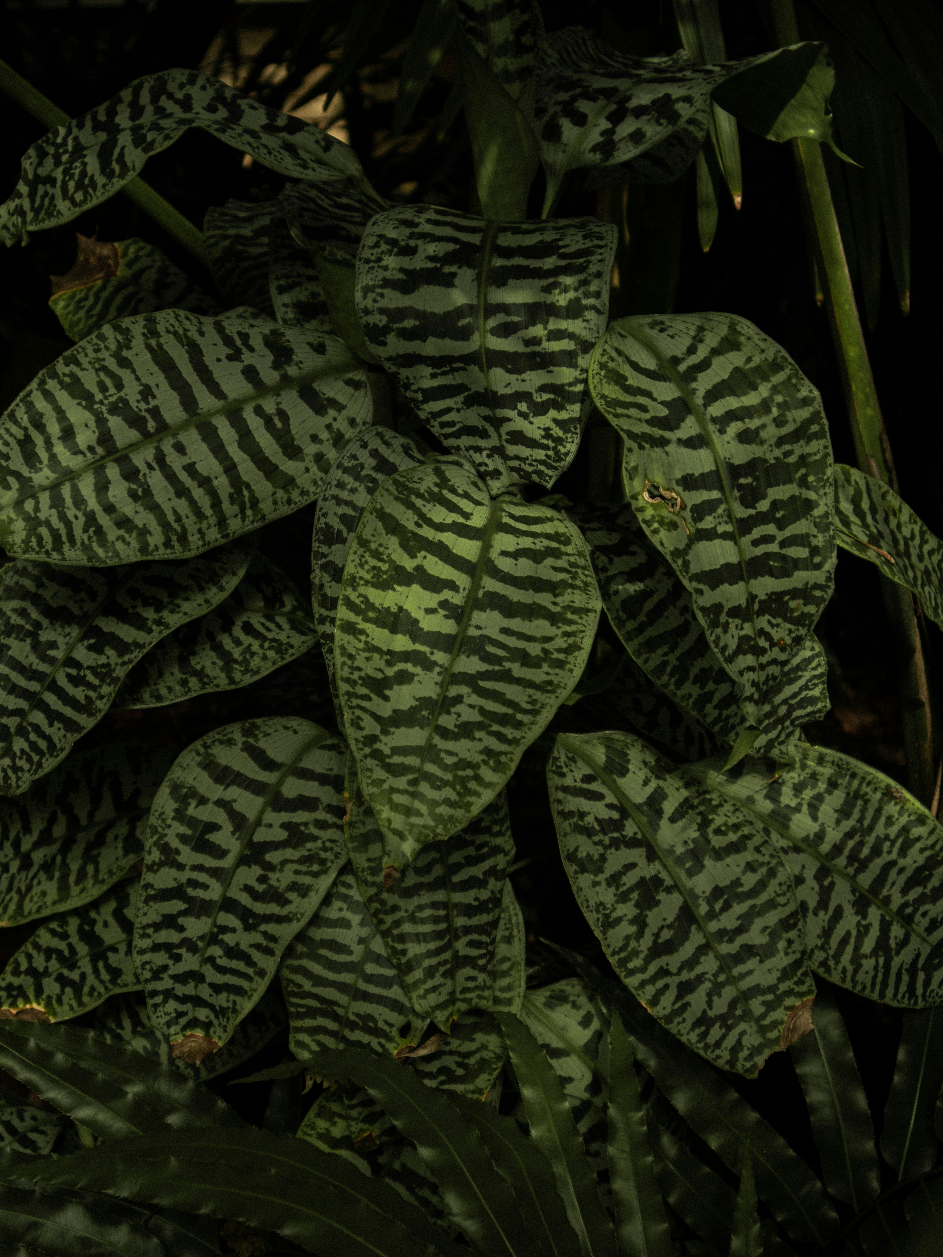 Photo by lanathegraves