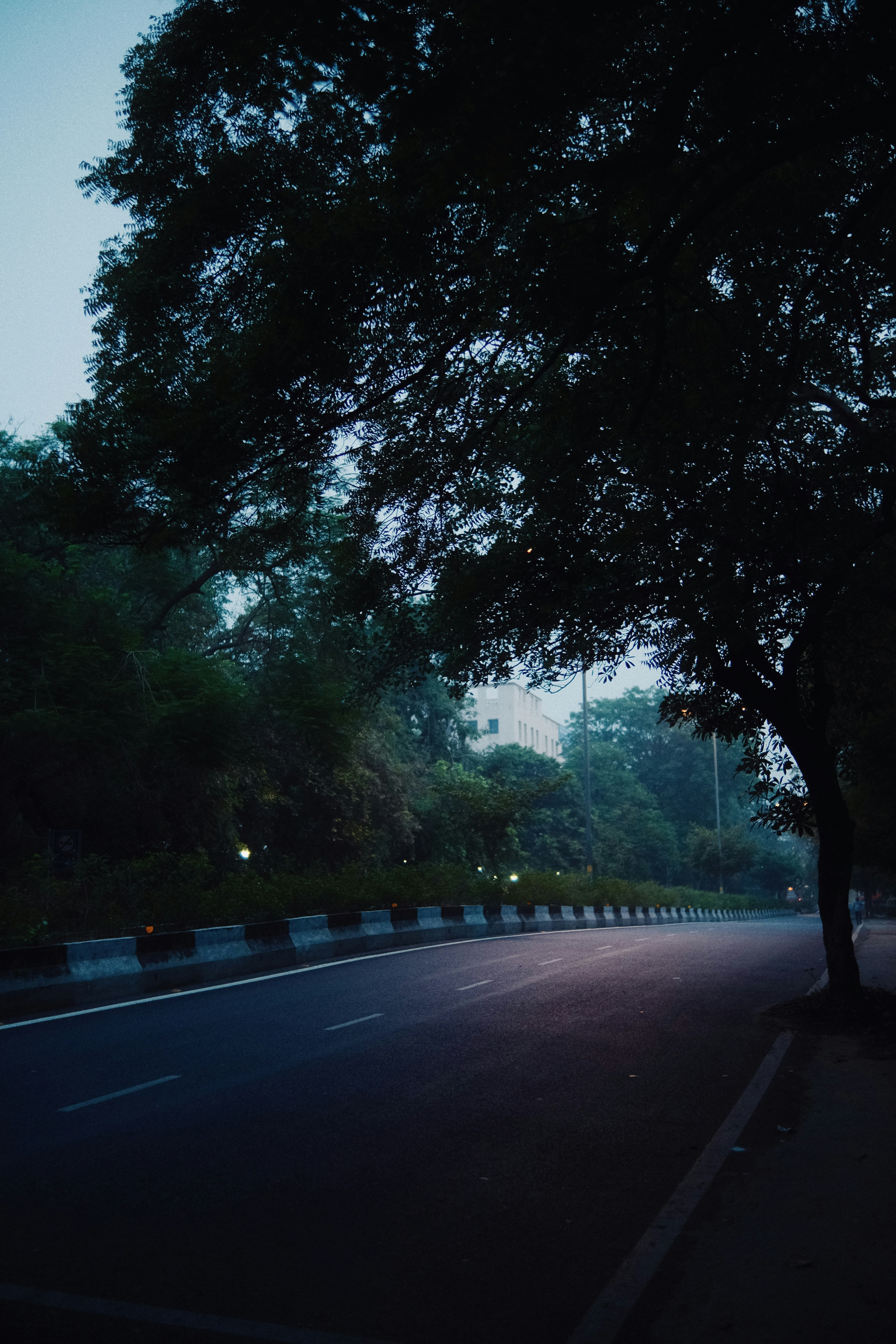 Photo by ayushk9