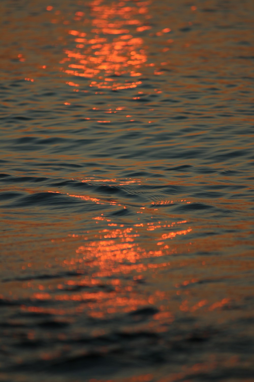 a body of water with orange and red lights