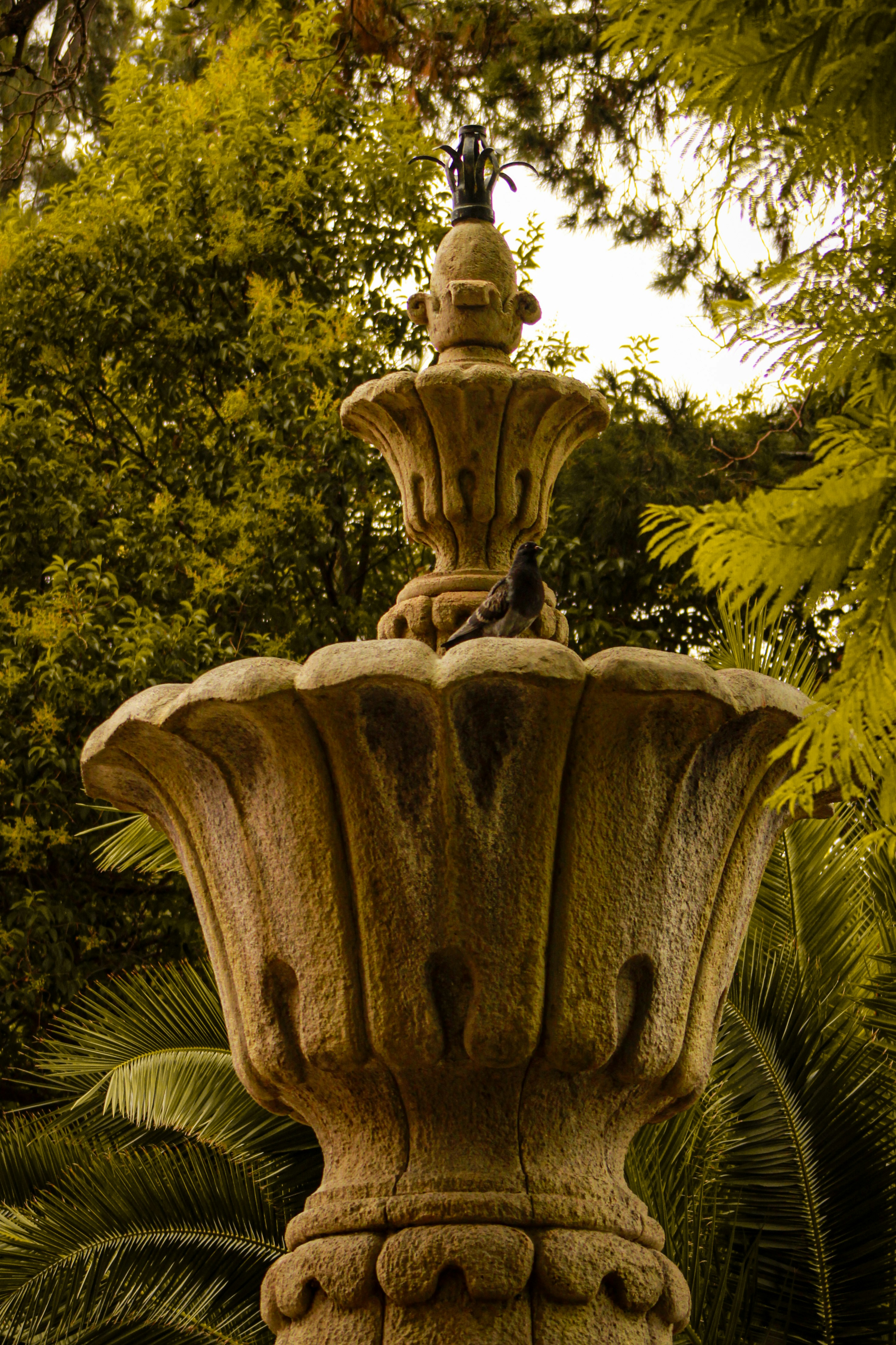 Photo by santiagomitre