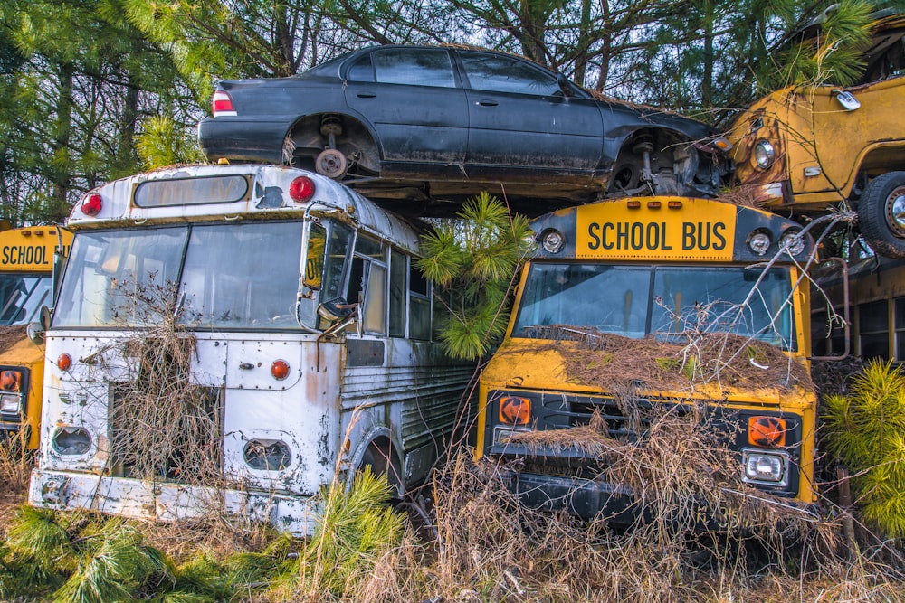 a couple of school buses parked in a field