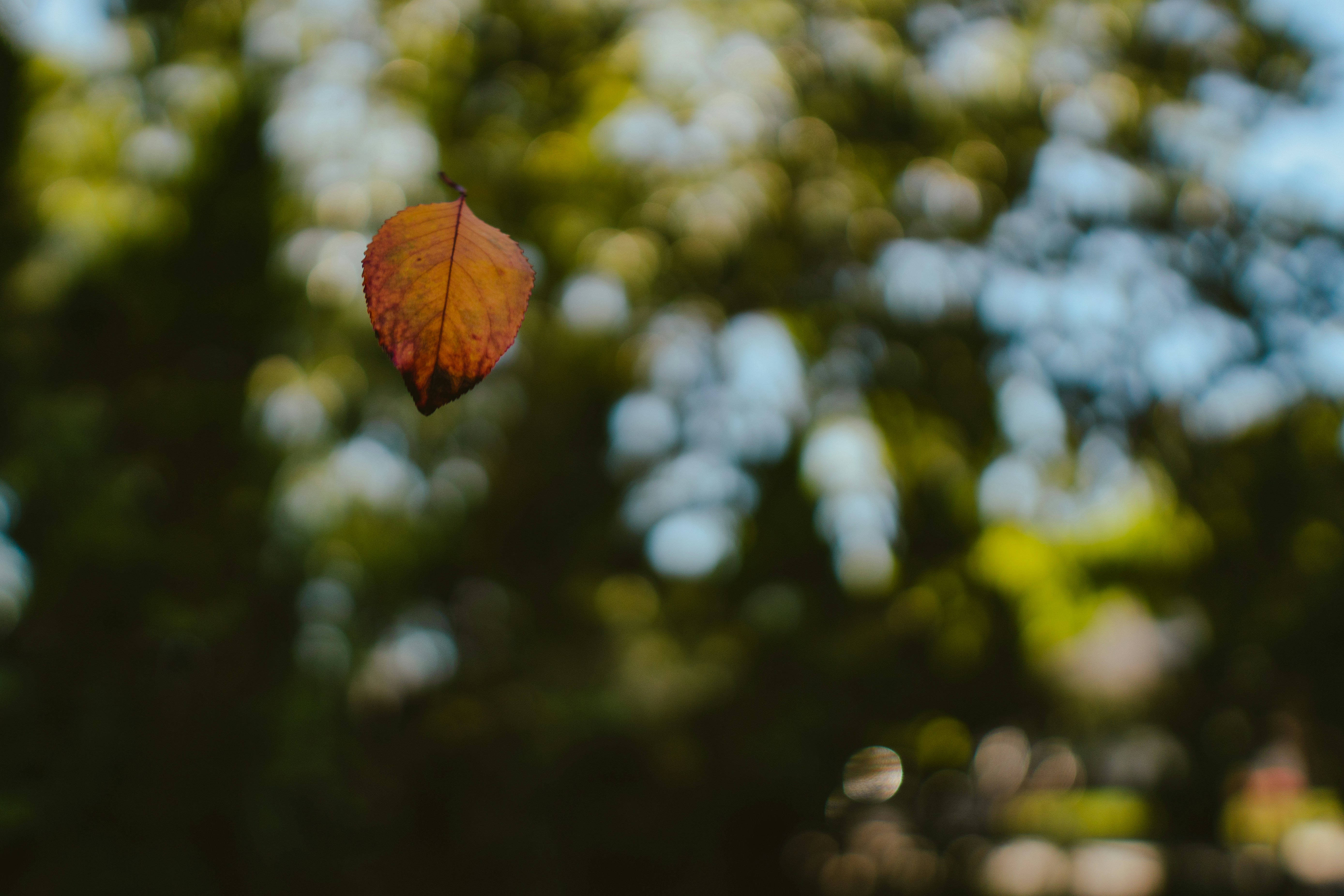 Photo by emmanuelphaeton