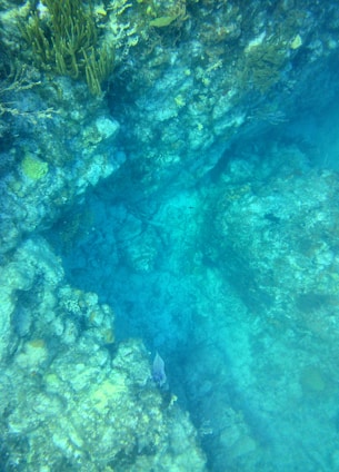 A vibrant underwater scene blending ancient Greek ruins with coral and turquoise hues.