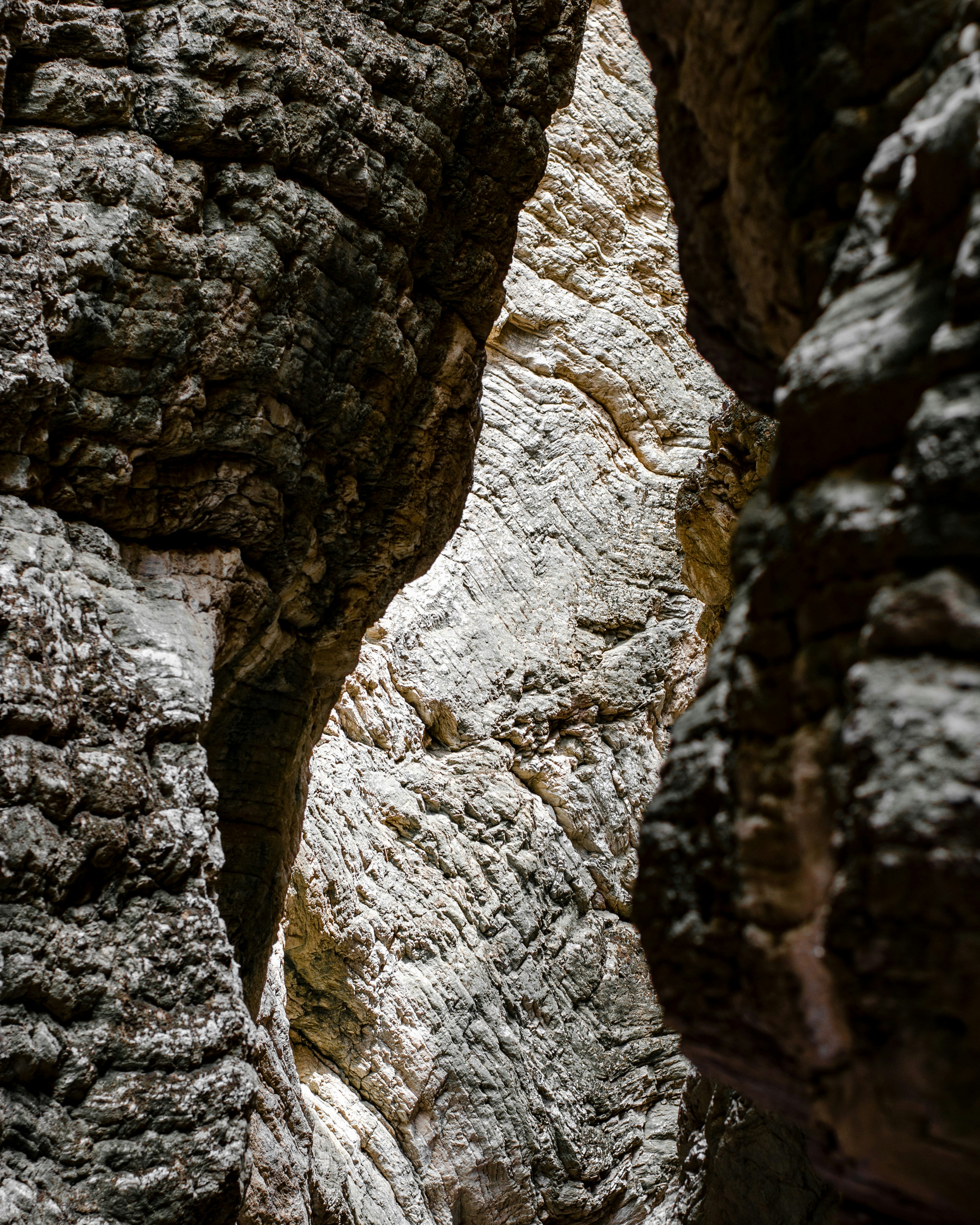 Photo by m_mohammadpour