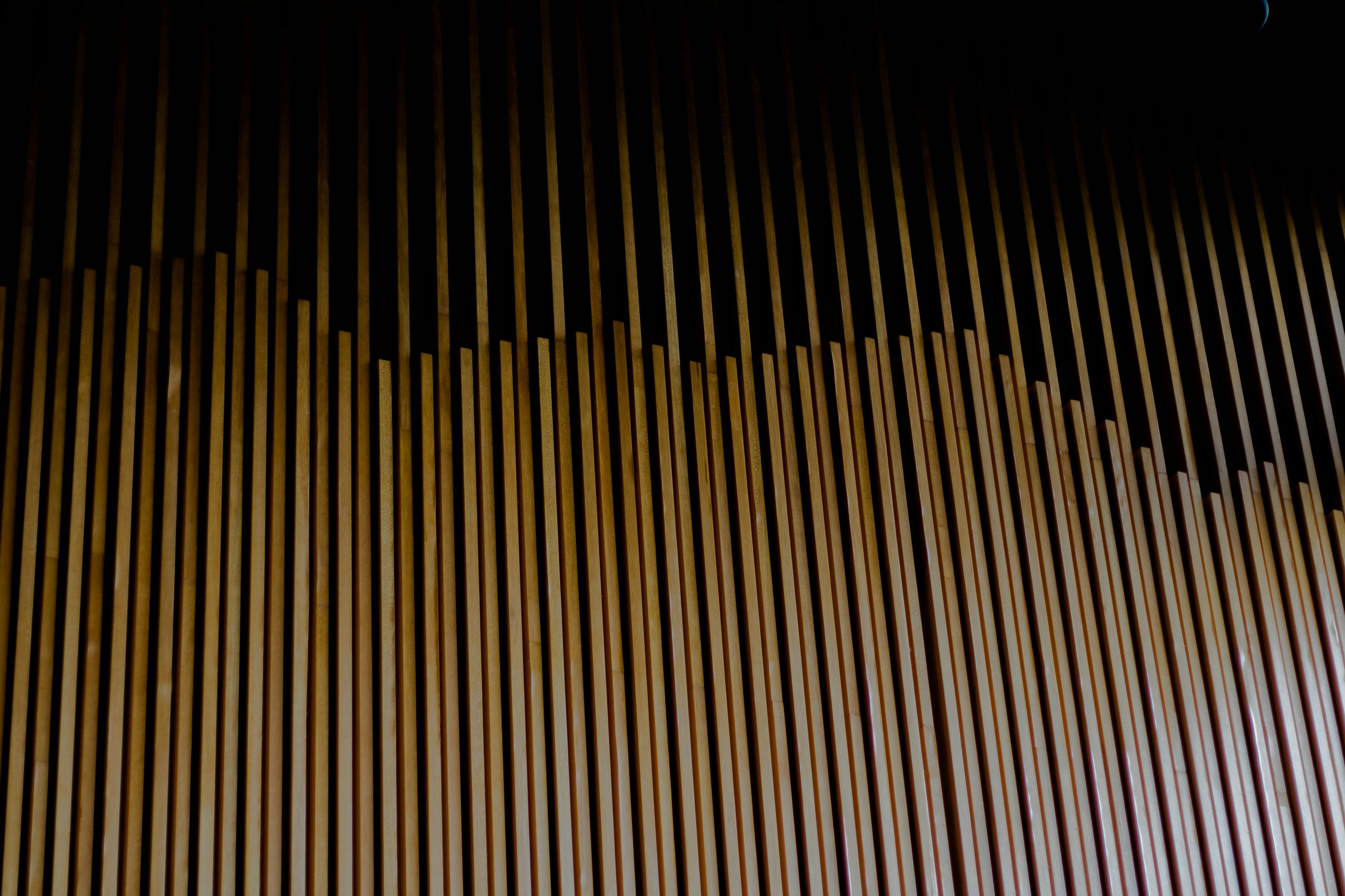 Photo by yeefoooooon