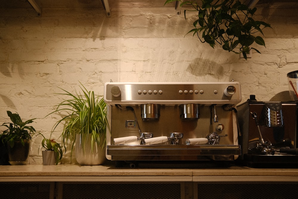 a stove with a few plants