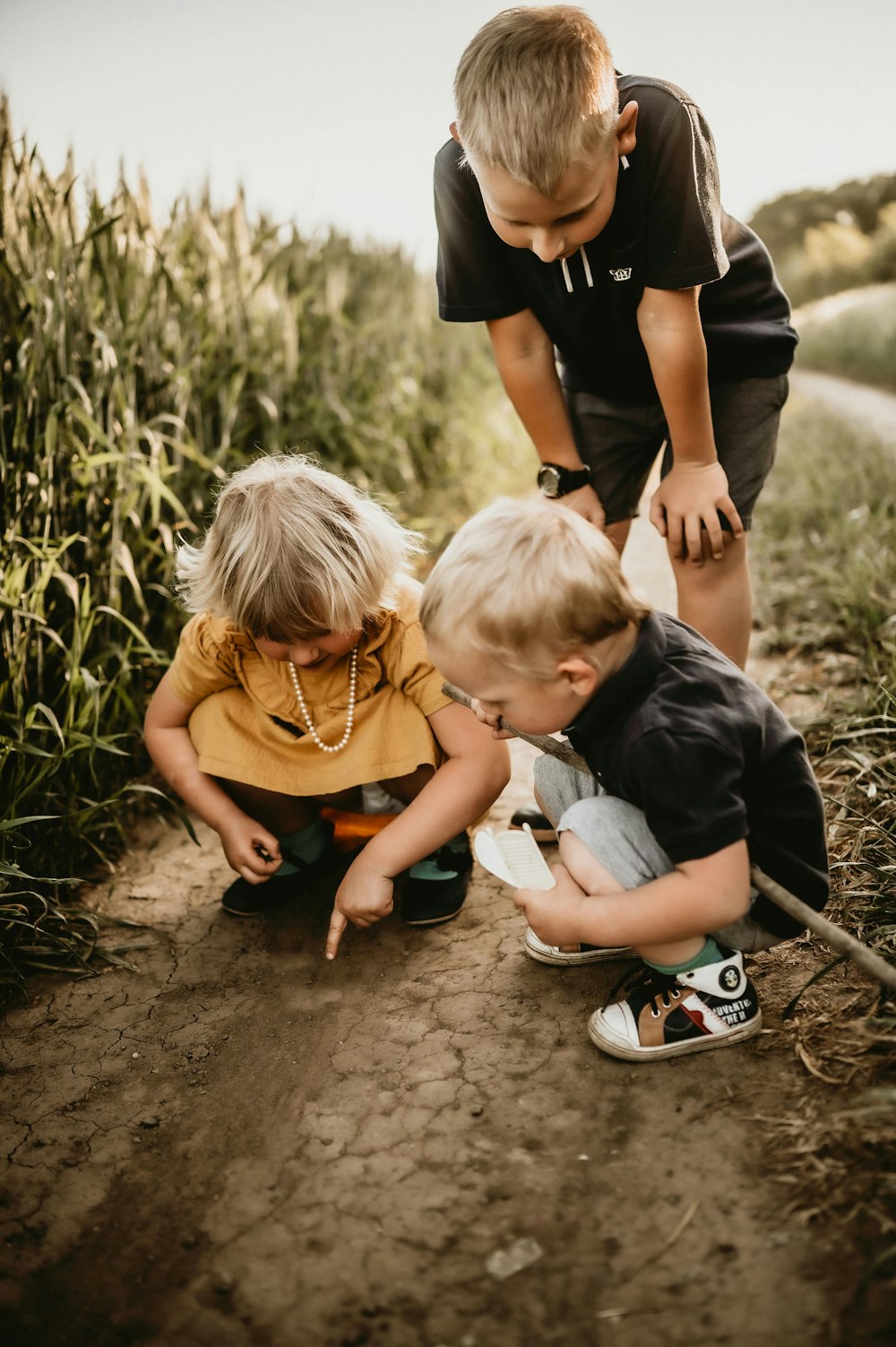 a group of people digging in the dirt