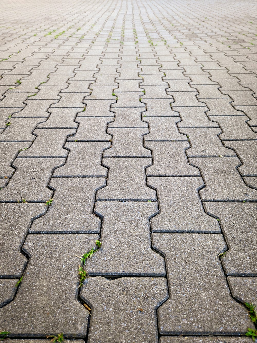 a cobblestone road with a brick walkway