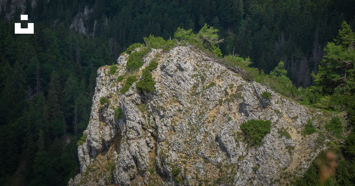 Foto zum Thema Ein großer Felsen mit Moos darauf – Kostenloses Bild zu ...