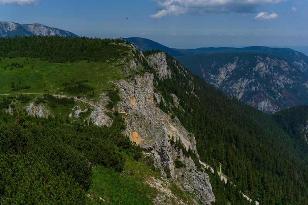 une montagne rocheuse avec des arbres et une rivière qui la traverse