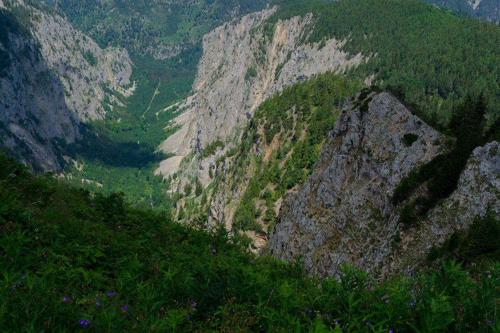 una montagna rocciosa con erba e alberi