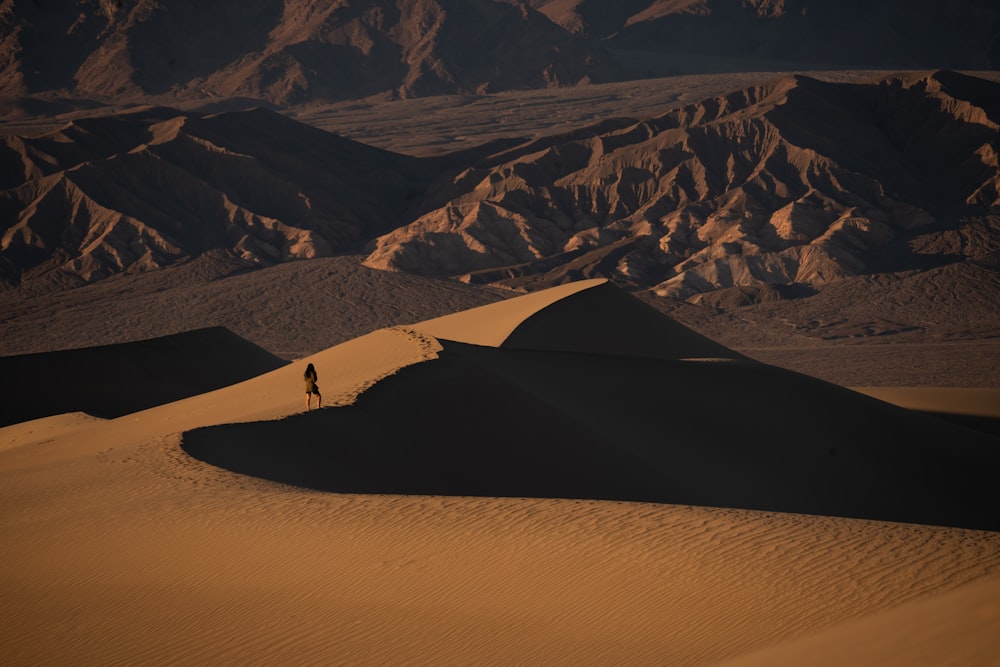 a person walking on a sand dune