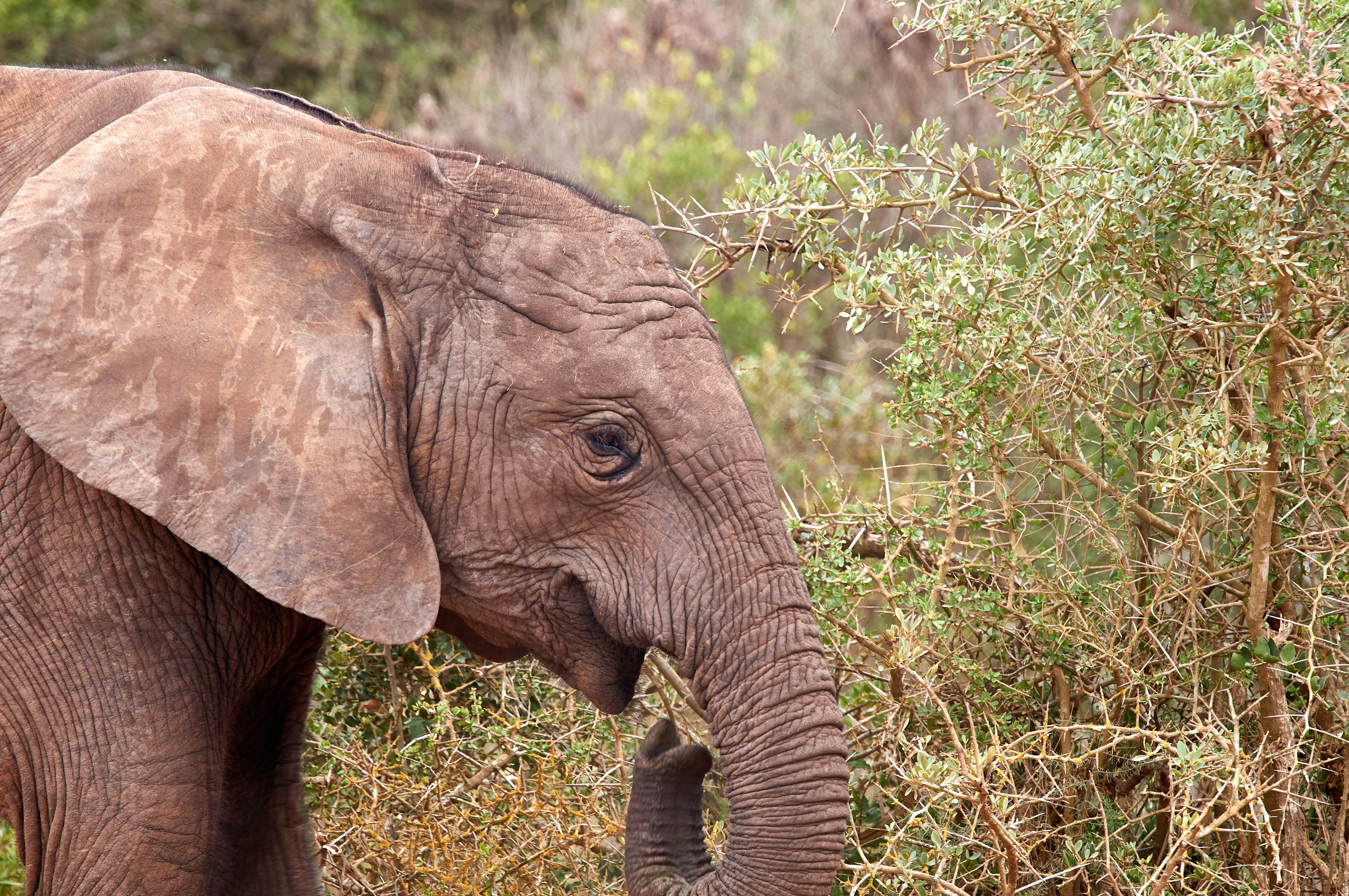 Photo by wolfgang_hasselmann