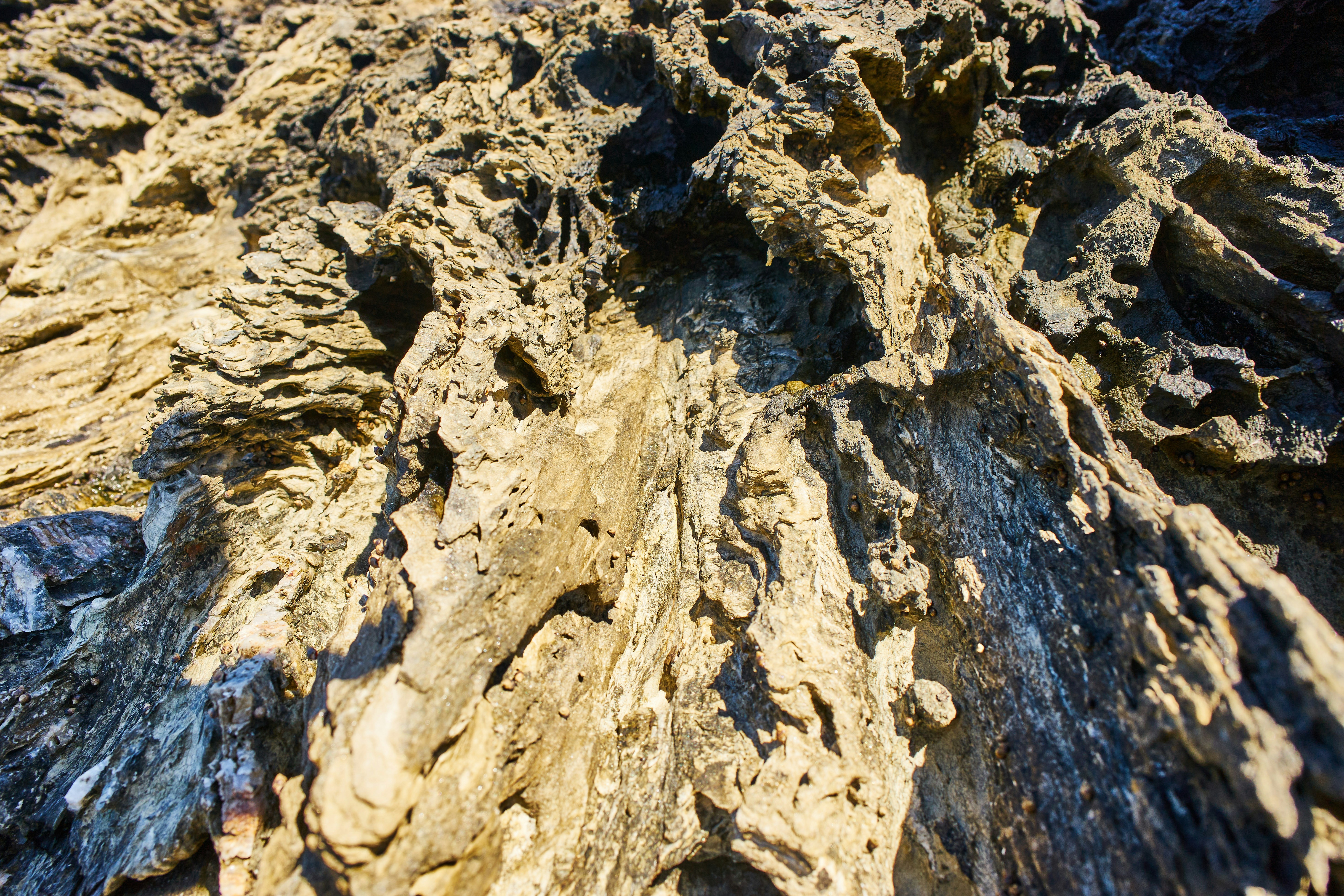 Photo by wolfgang_hasselmann