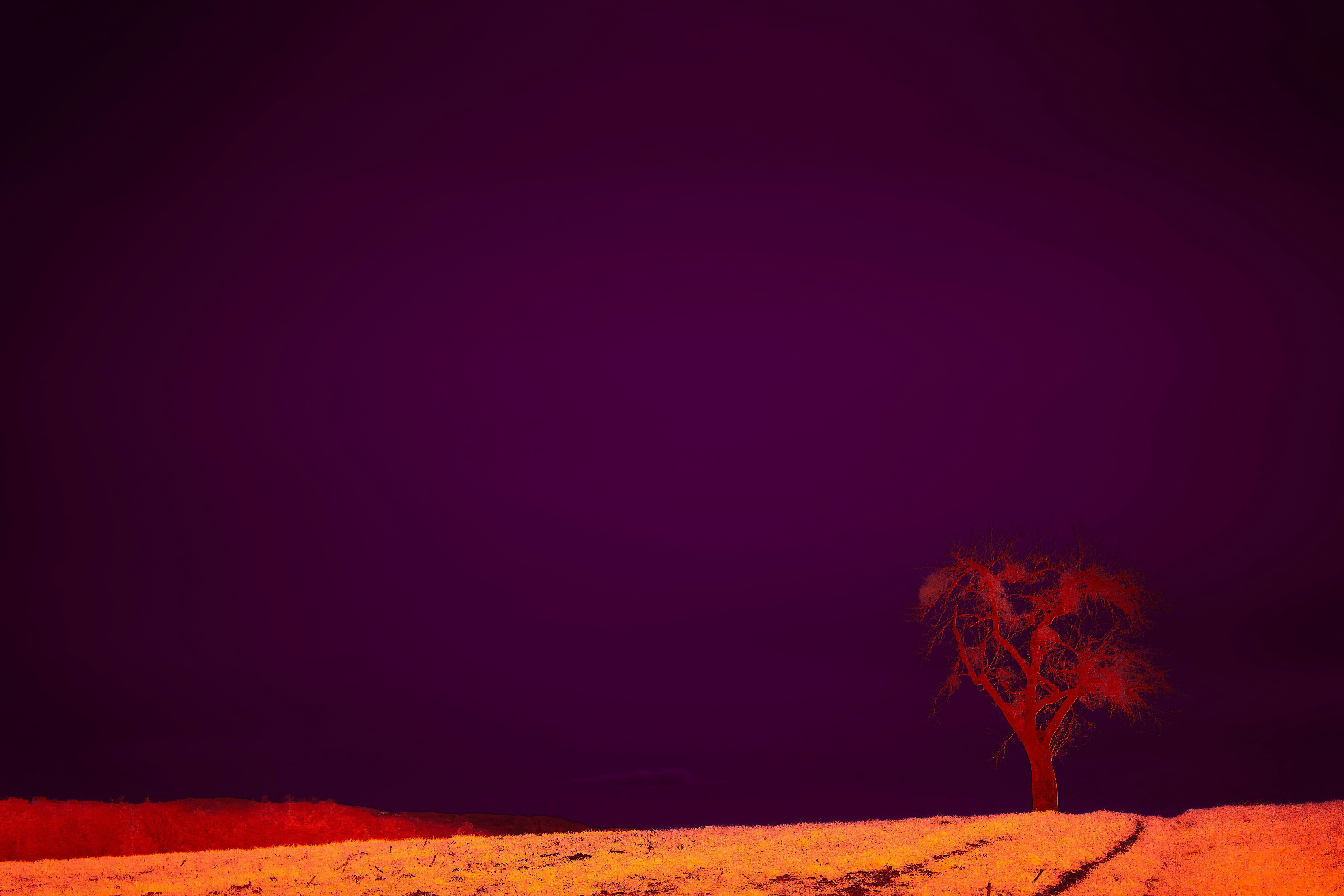 Photo by wolfgang_hasselmann