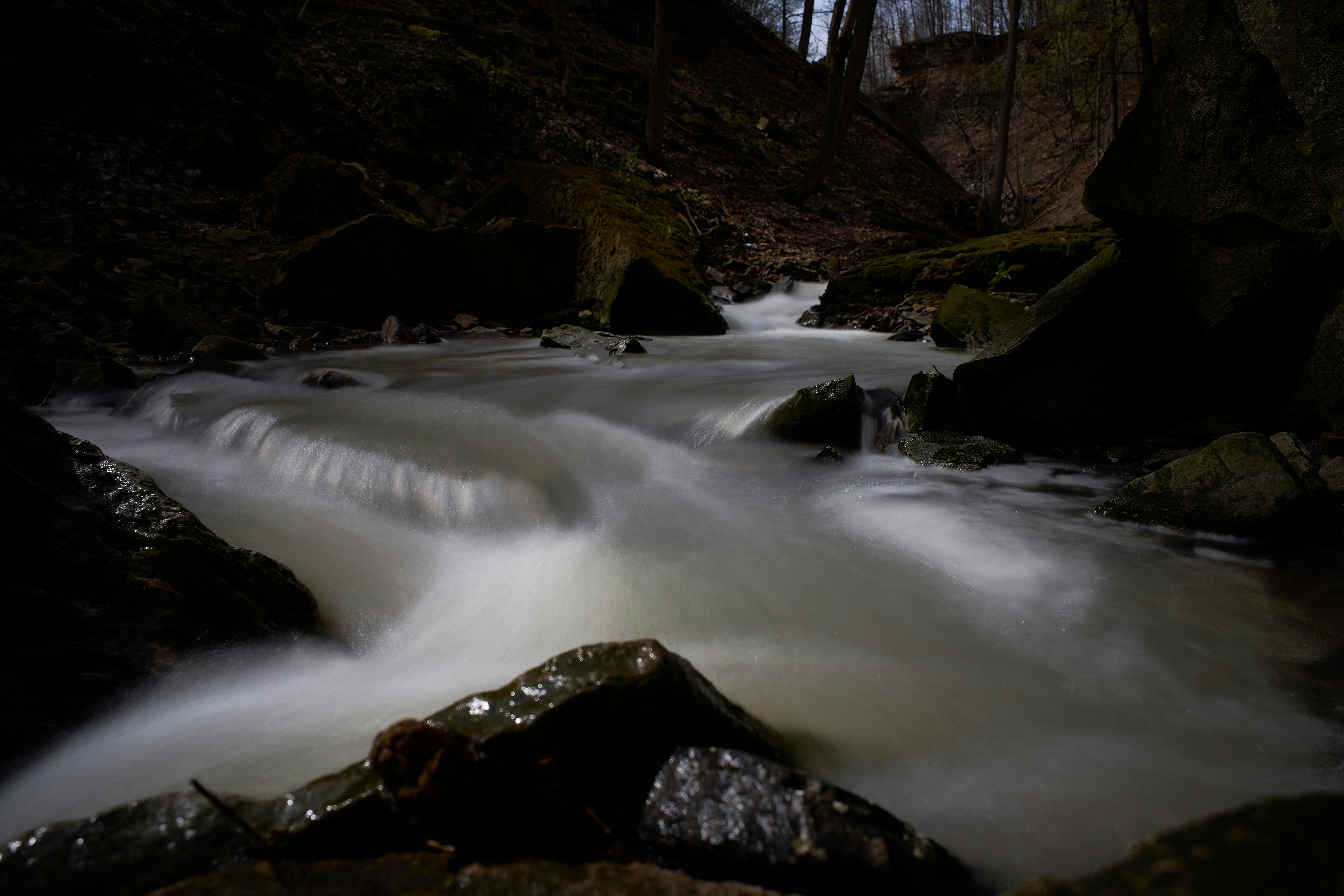 Photo by wolfgang_hasselmann