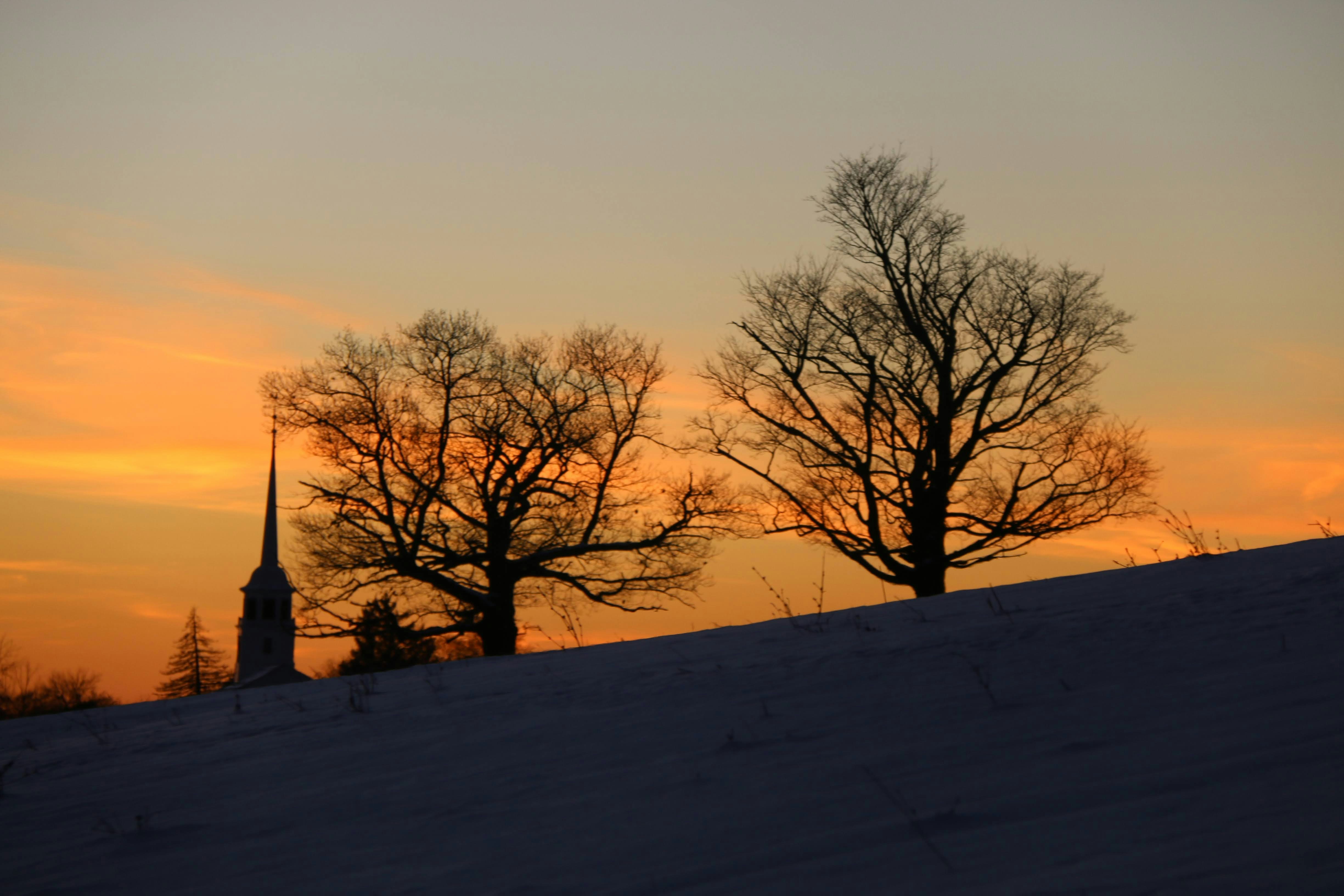 Photo by stevelieman