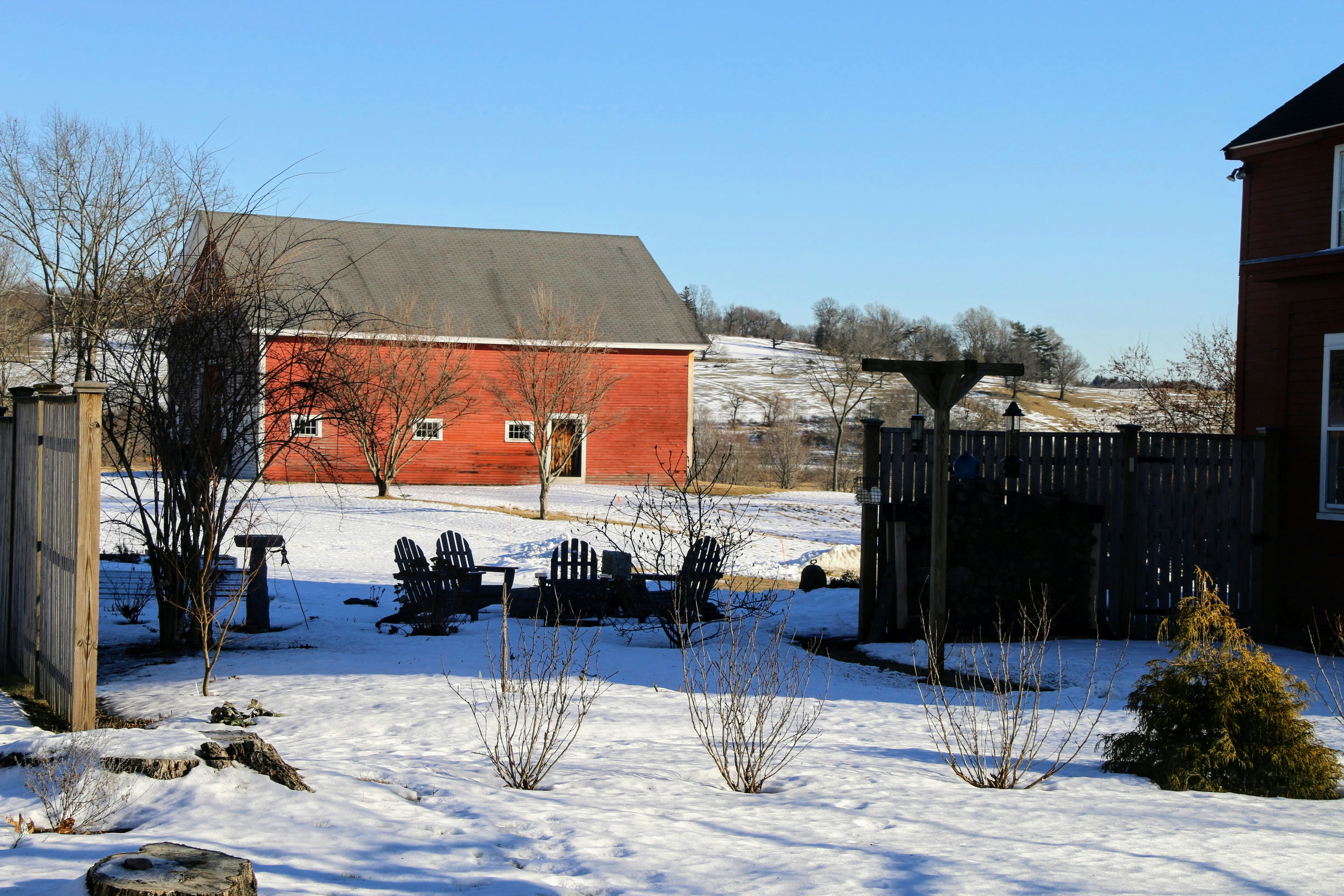 Photo by stevelieman