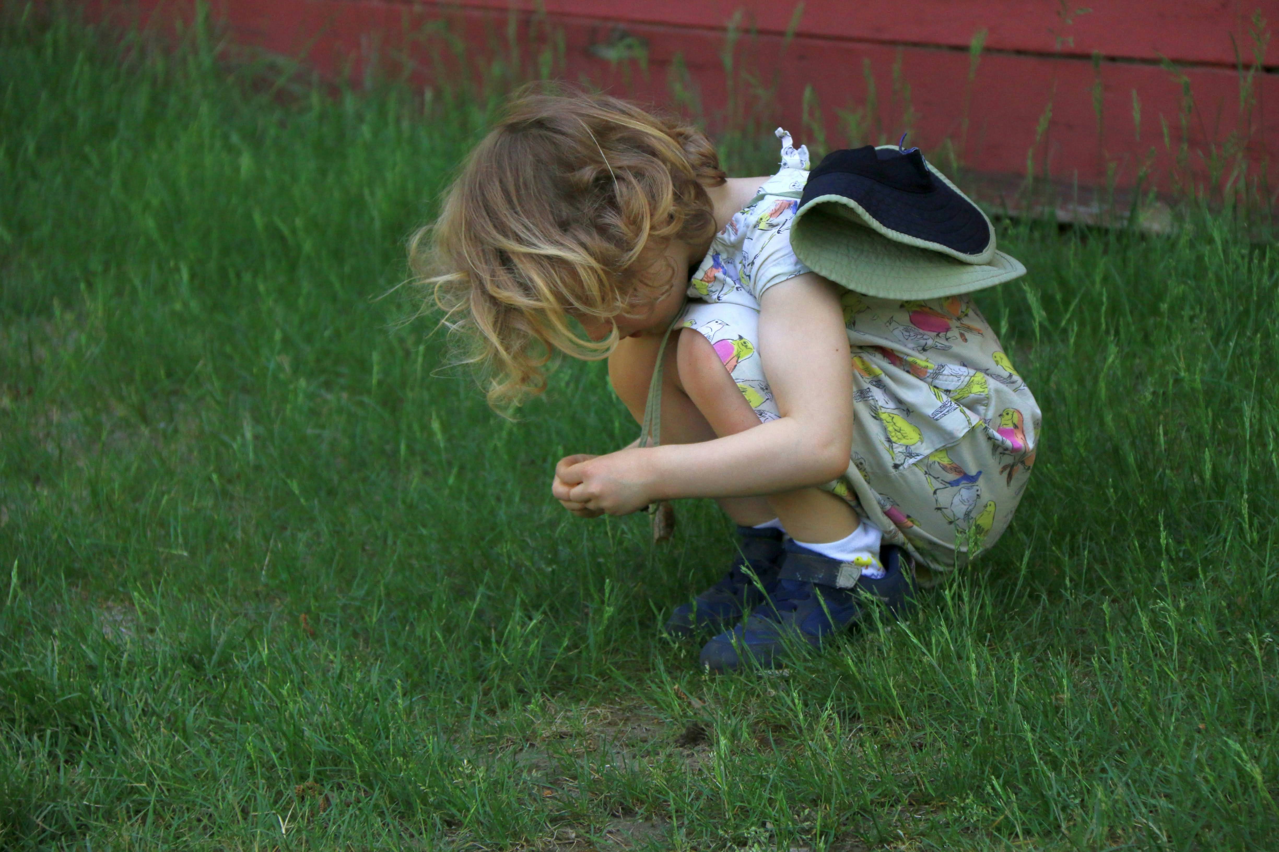 Photo by stevelieman