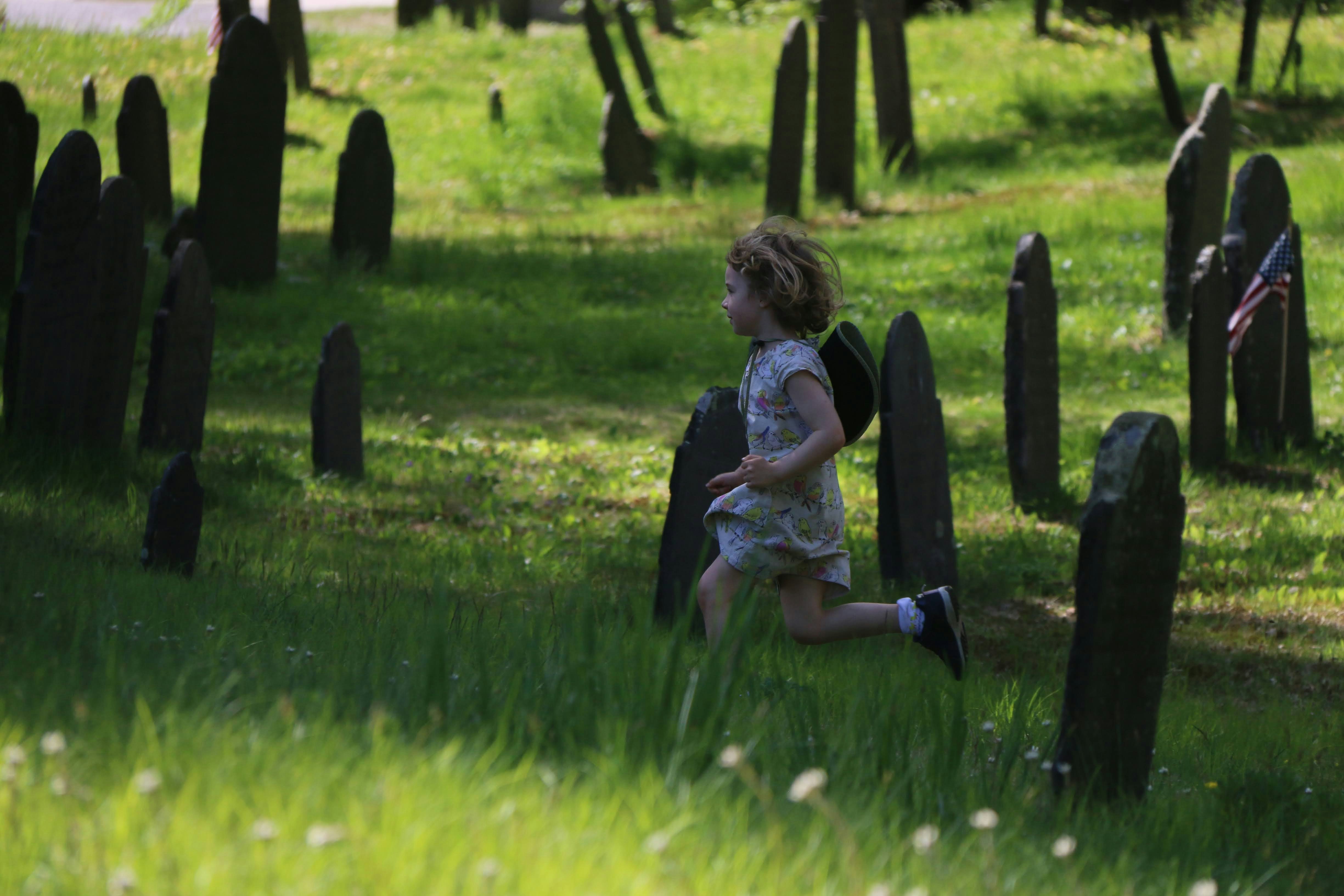 Photo by stevelieman