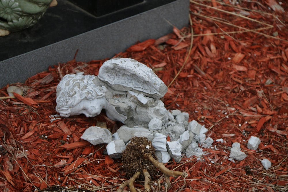 a pile of white objects on the ground