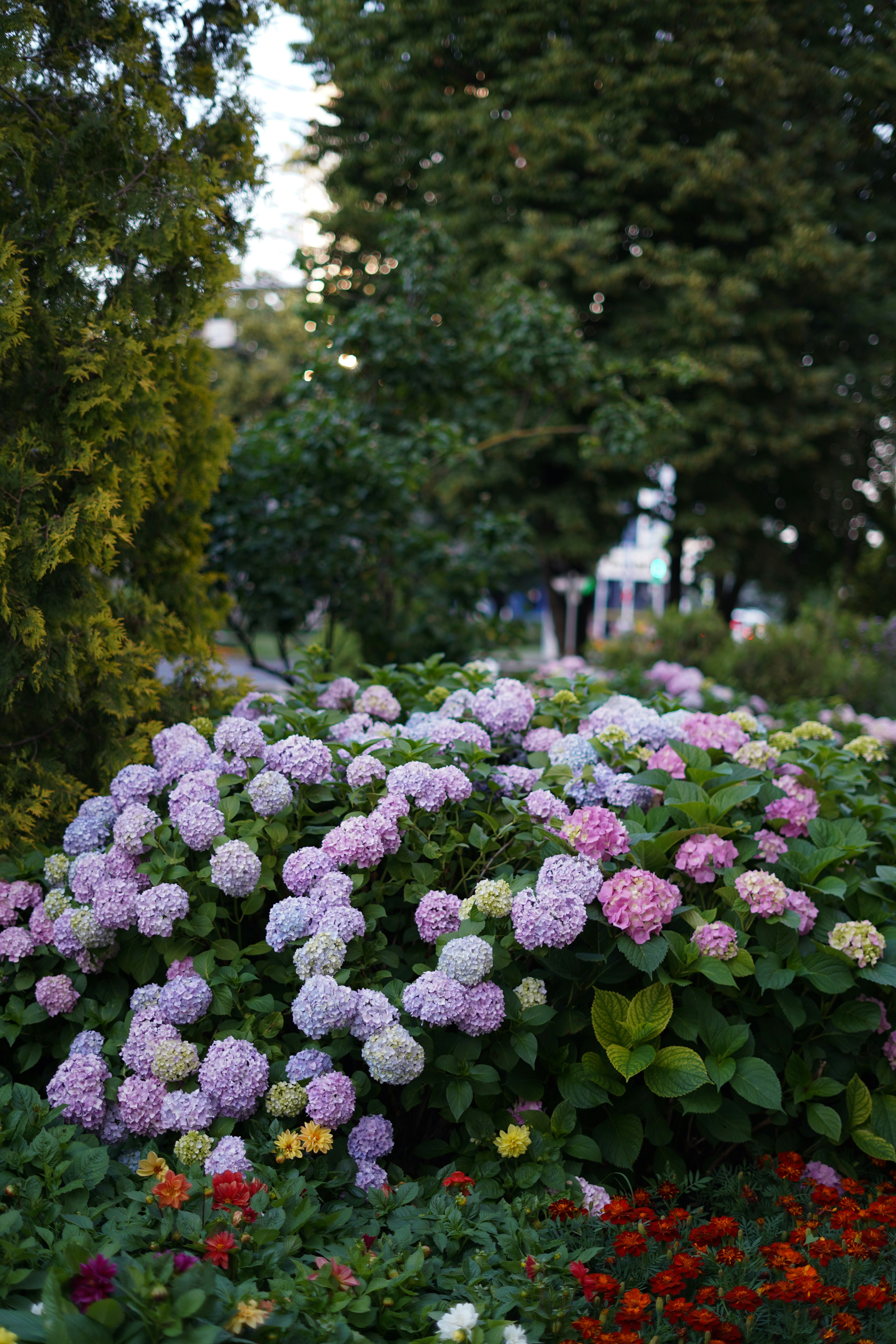 Photo by albina___white