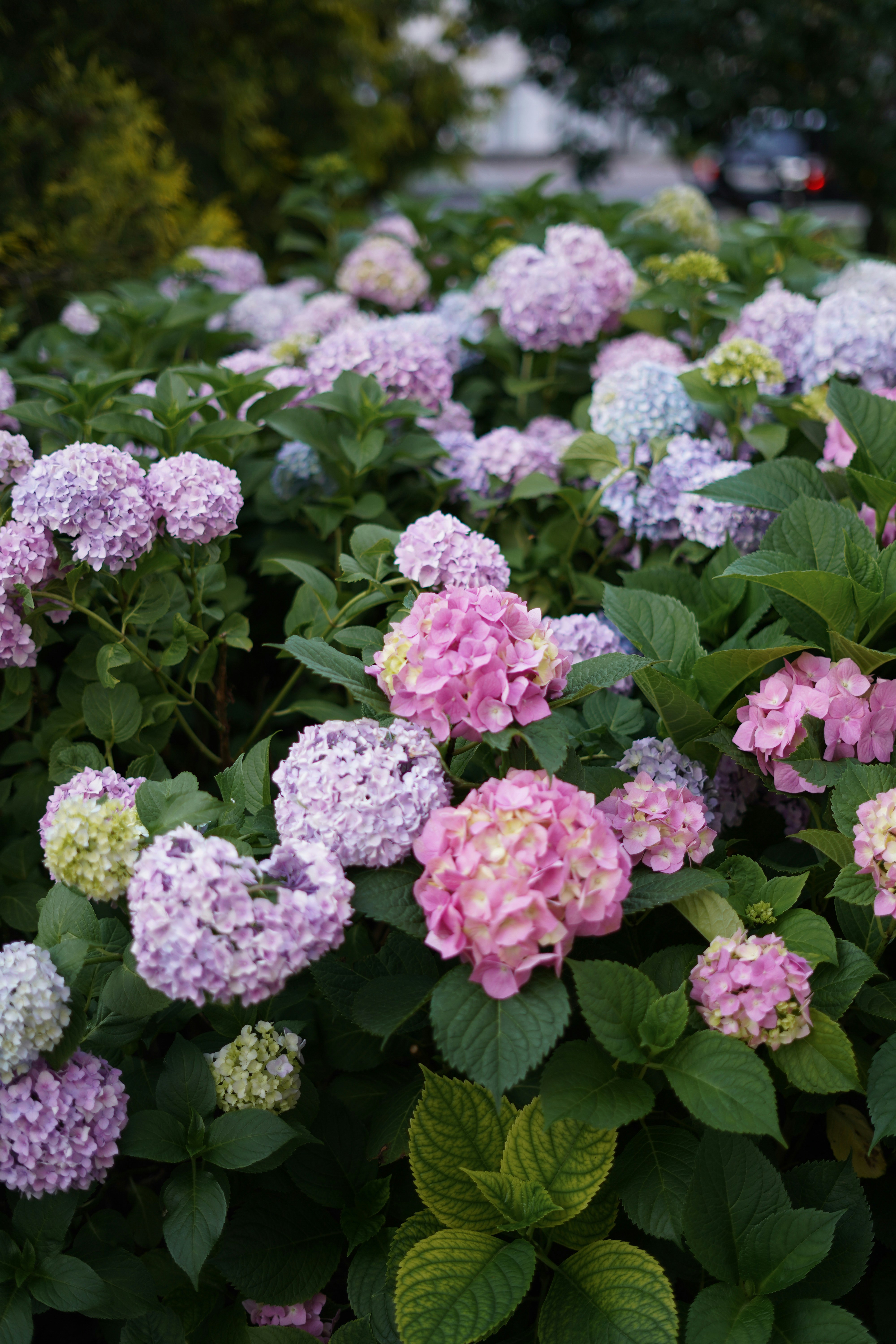 Photo by albina___white