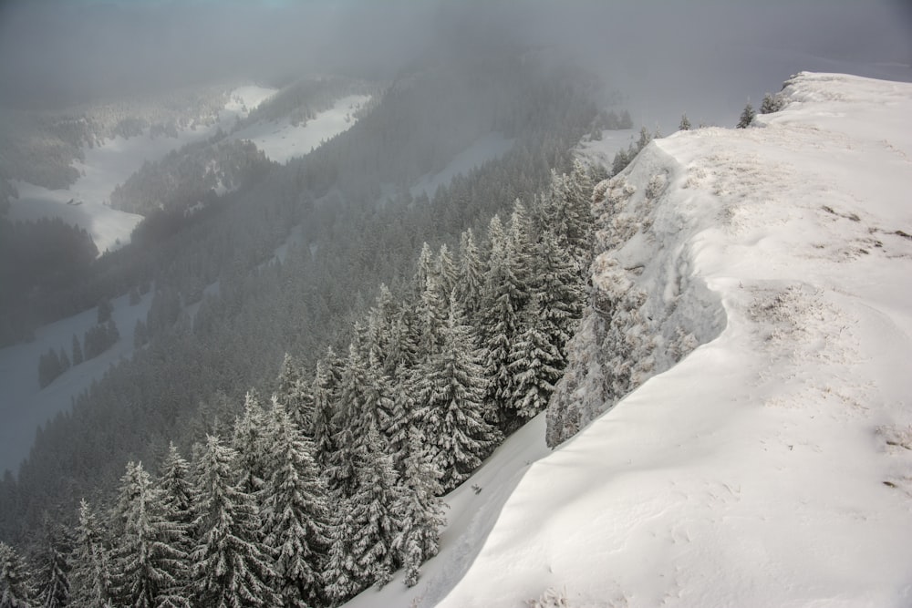 a snowy mountain side