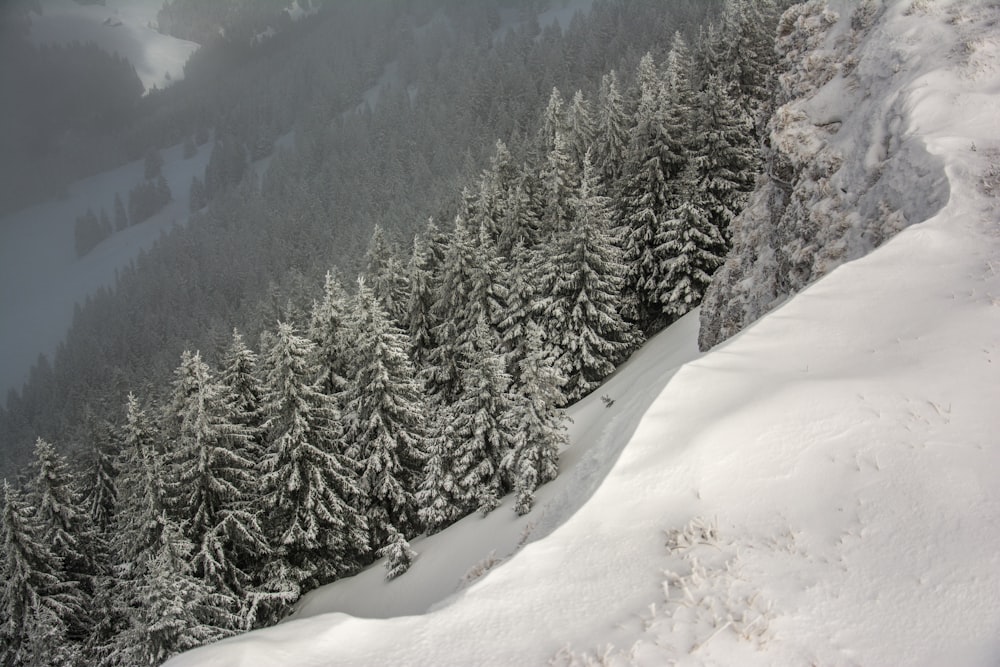 a snowy mountain side