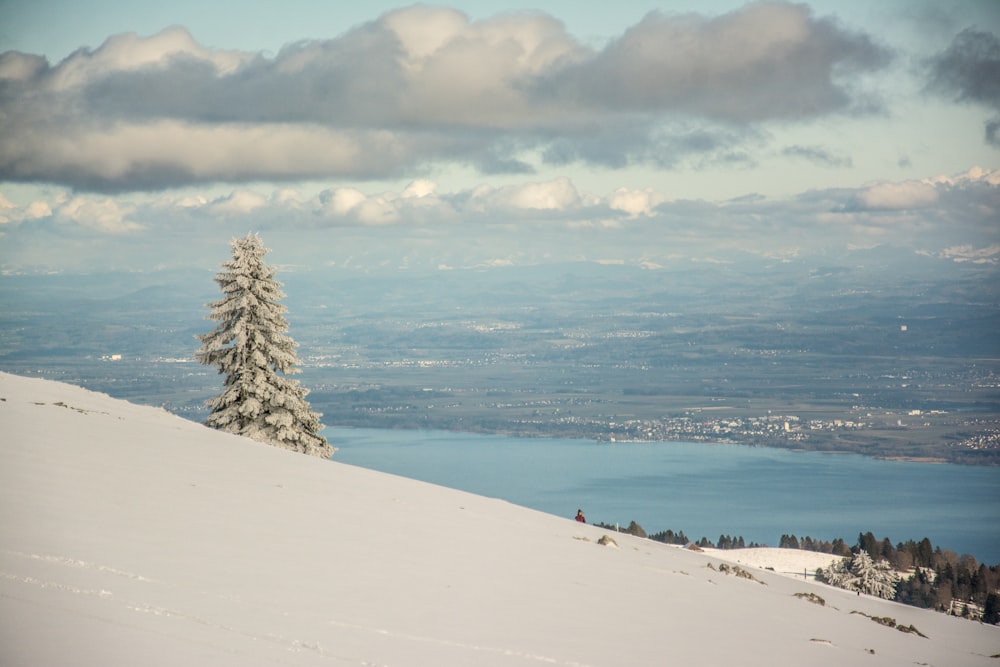 a snowy hill with a tree on it and a body of water in the background