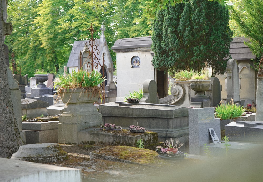 un cimetière avec un étang