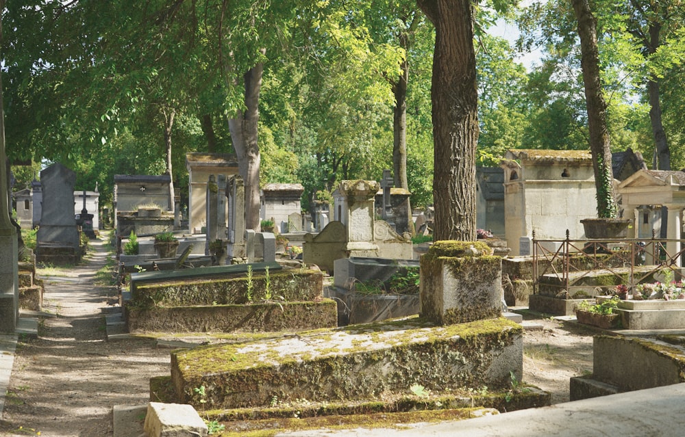 a cemetery with trees