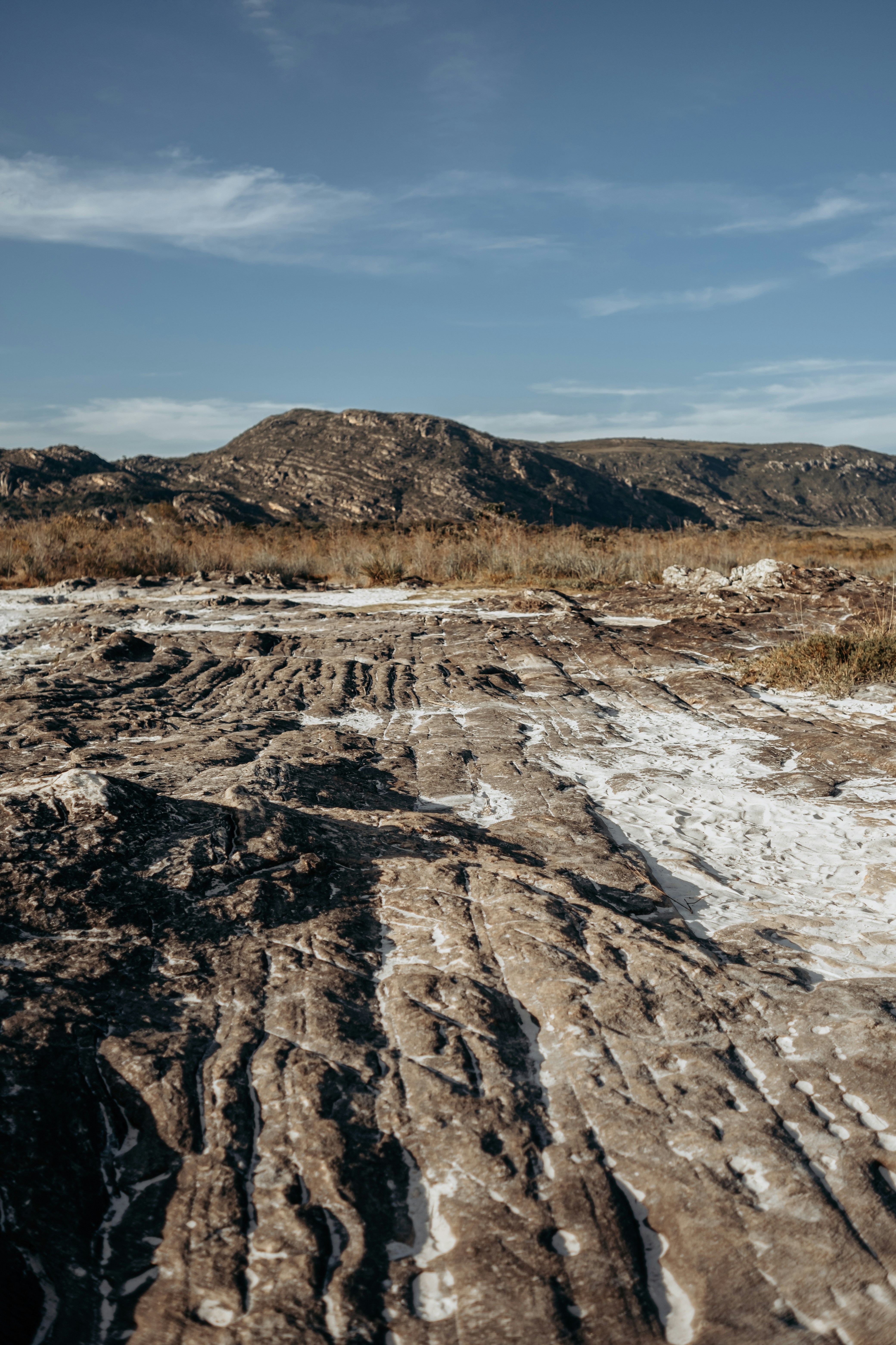 Photo by wanderteixeira