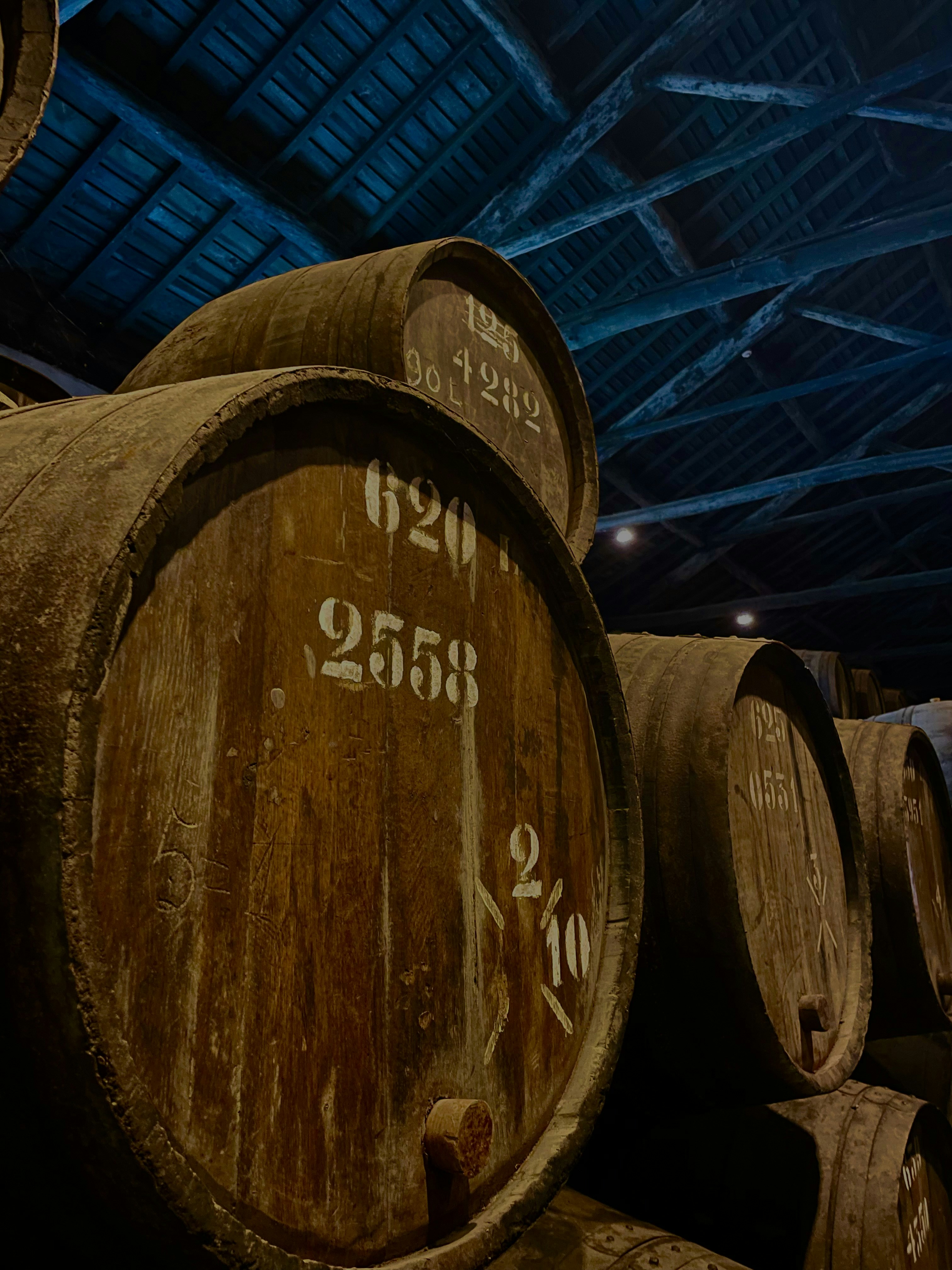 Wine barrels stacked in dark cellar, atmospheric lighting, stone floor, ancient wooden racks